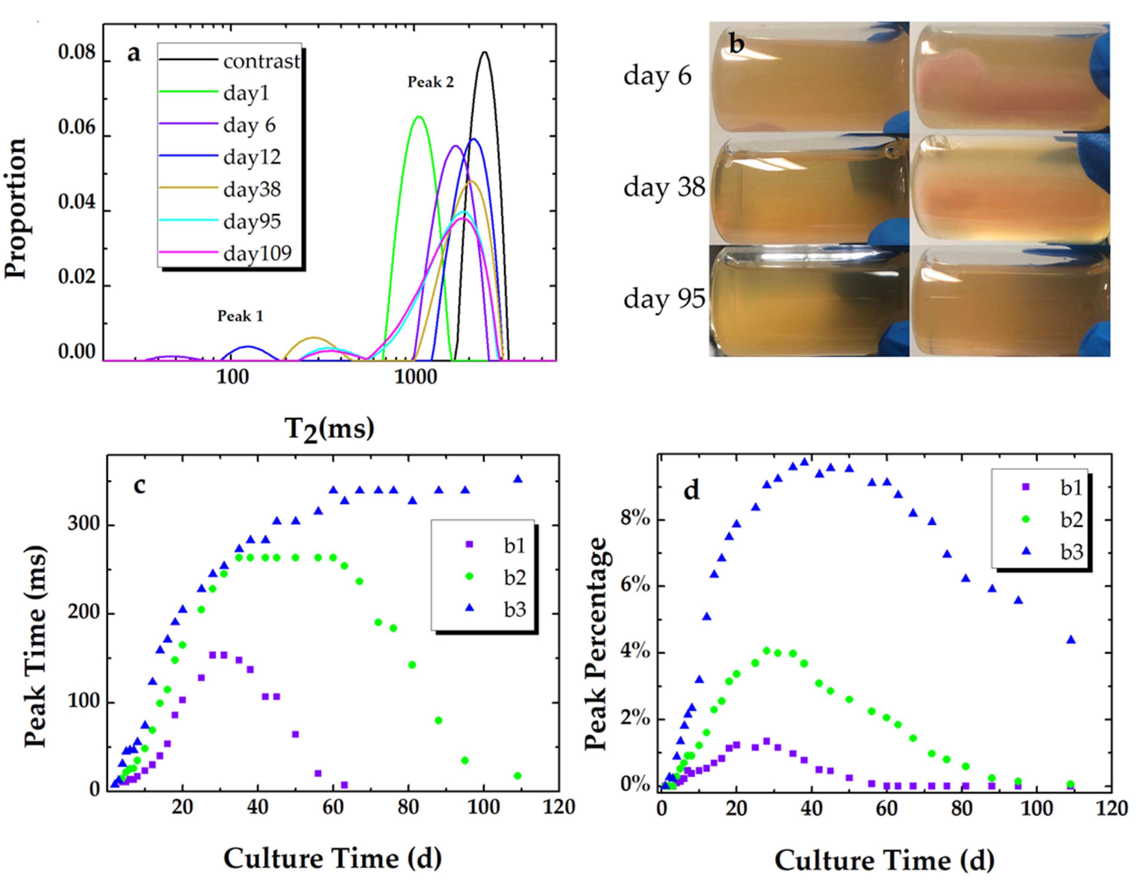 Microorganisms 09 02466 g003