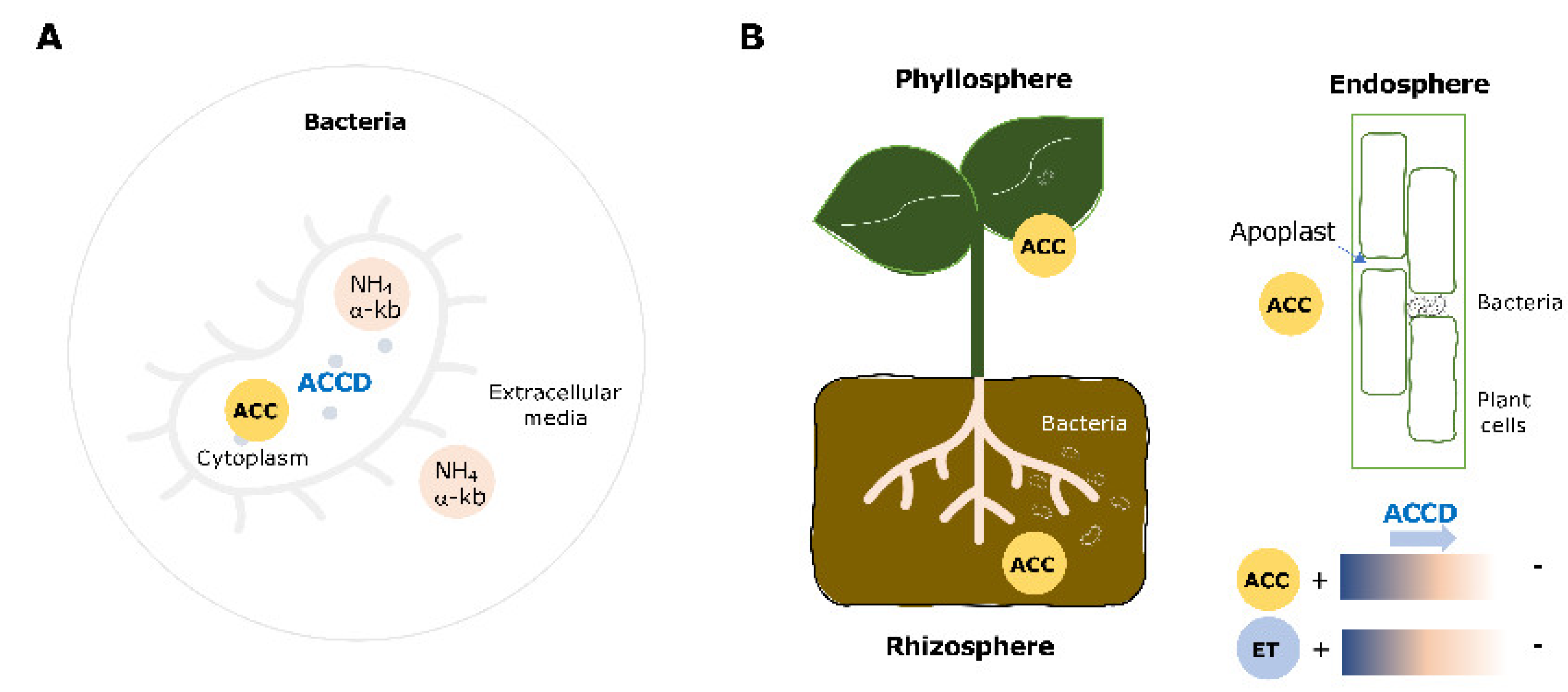 Microorganisms 09 02467 g001