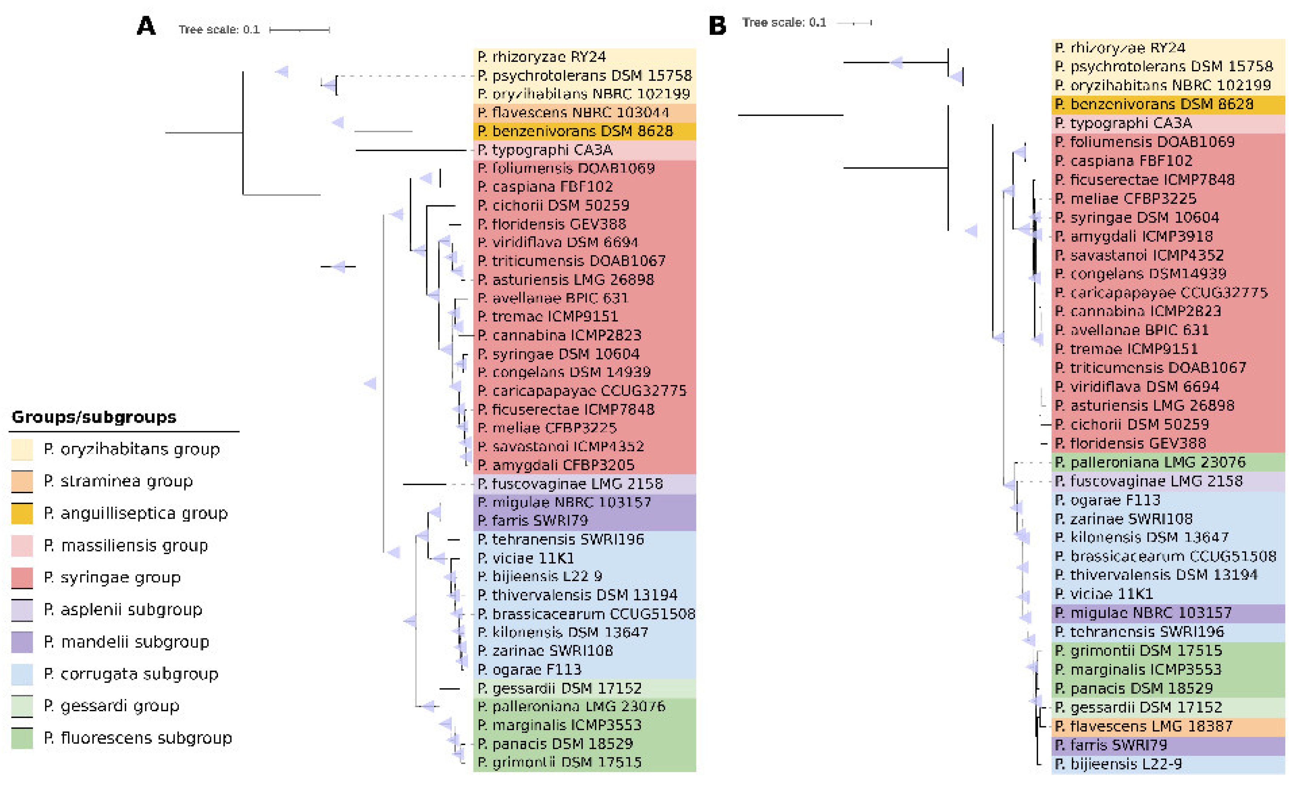 Microorganisms 09 02467 g002