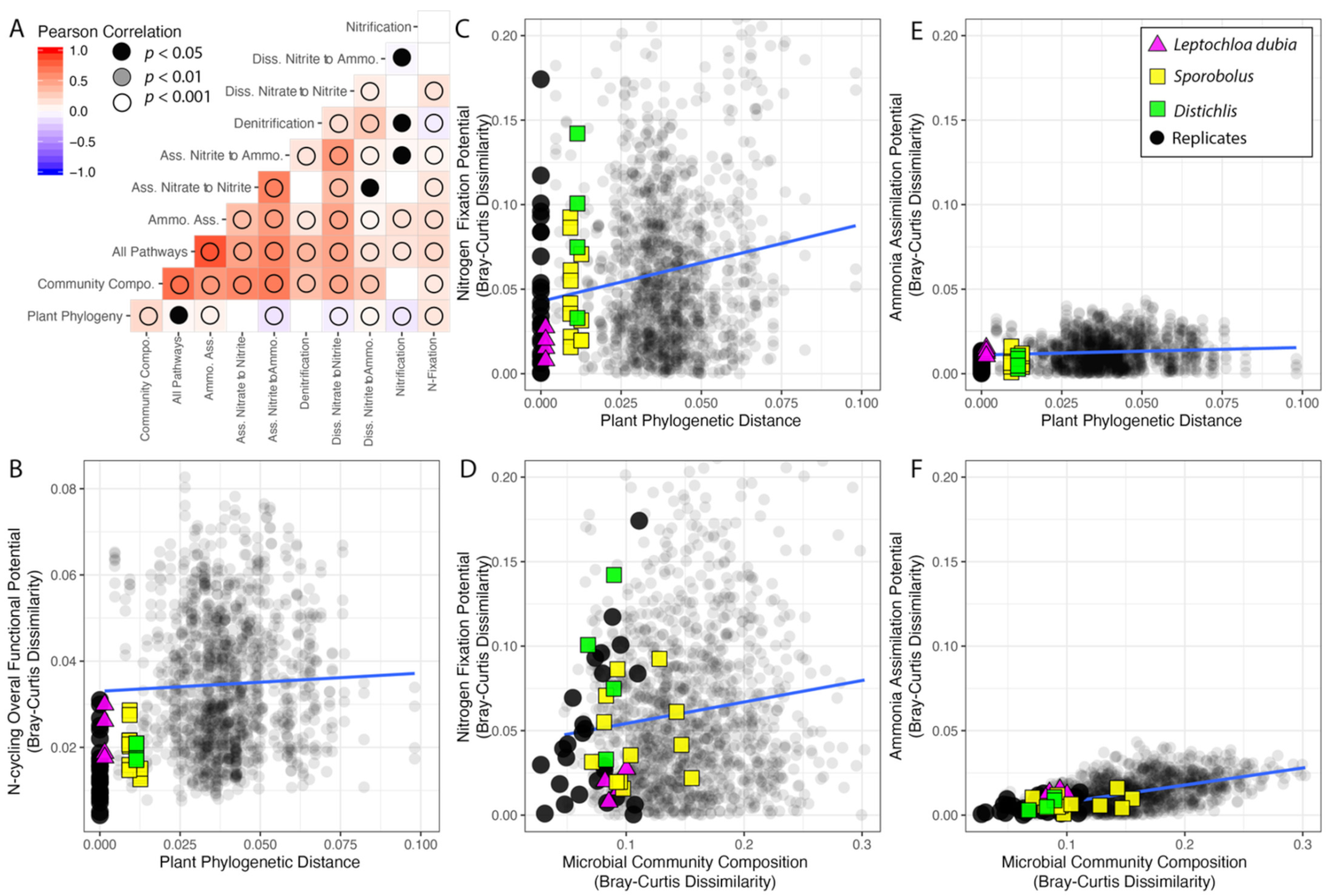 Microorganisms 09 02476 g005