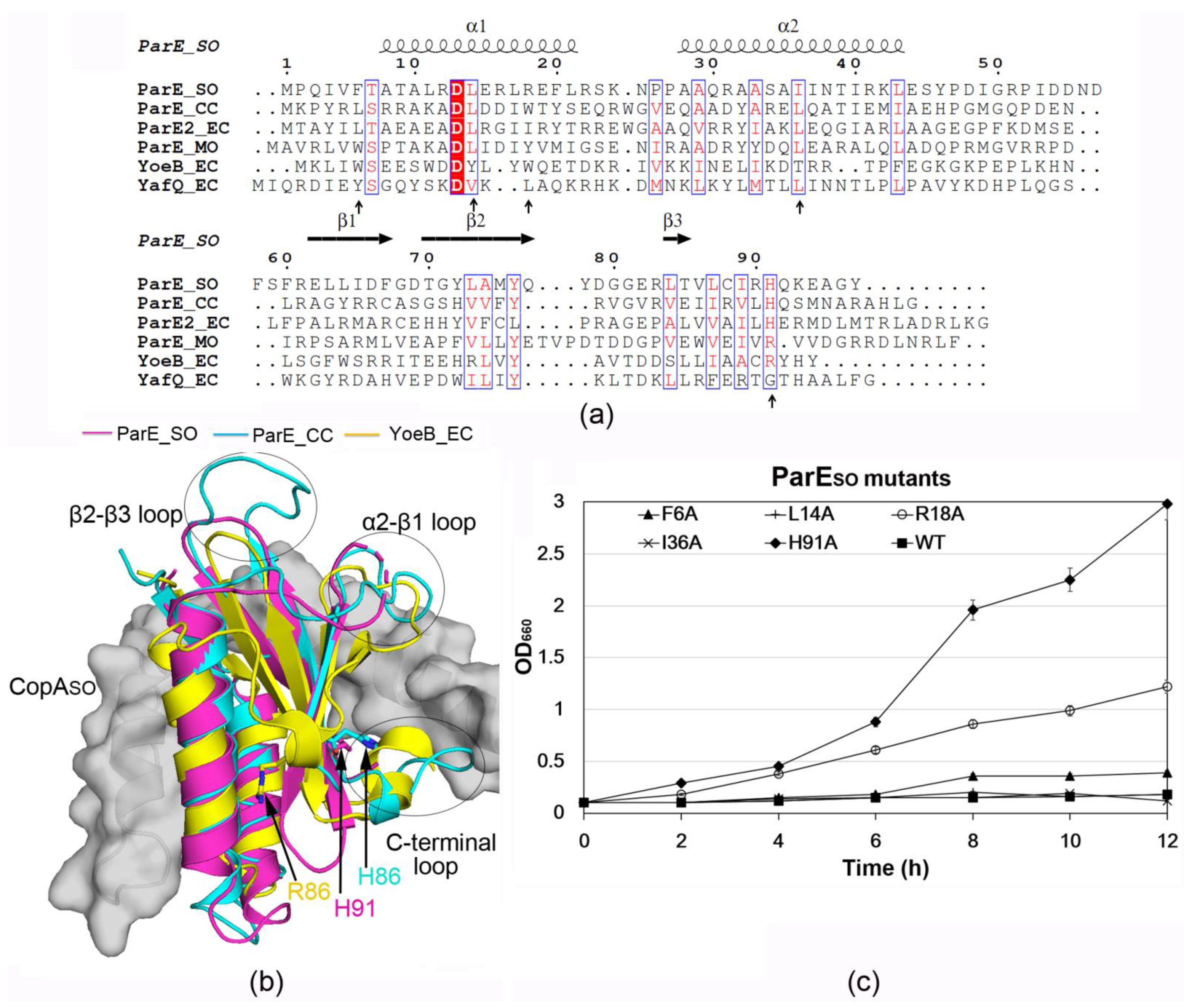 Microorganisms 09 02506 g002