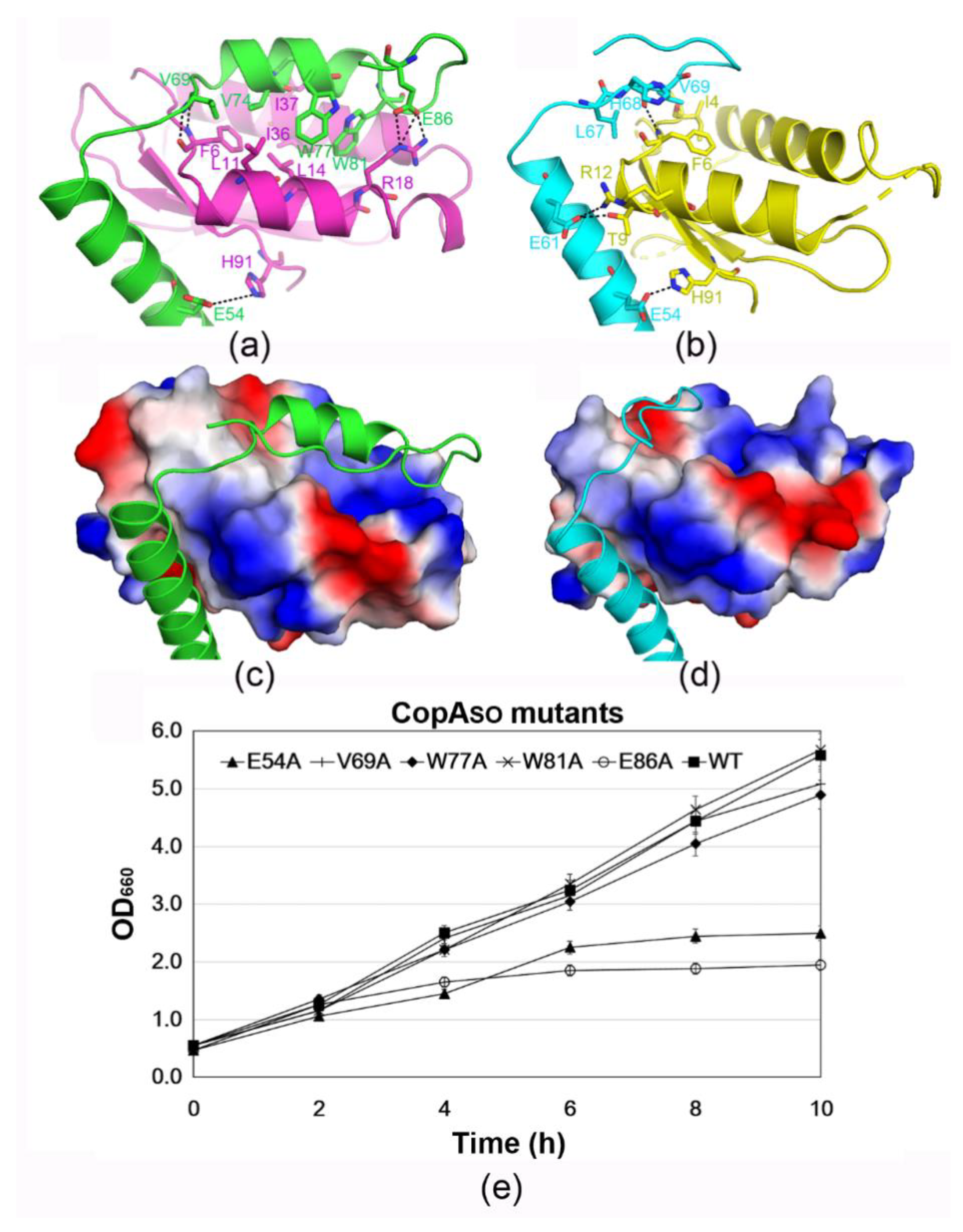 Microorganisms 09 02506 g003