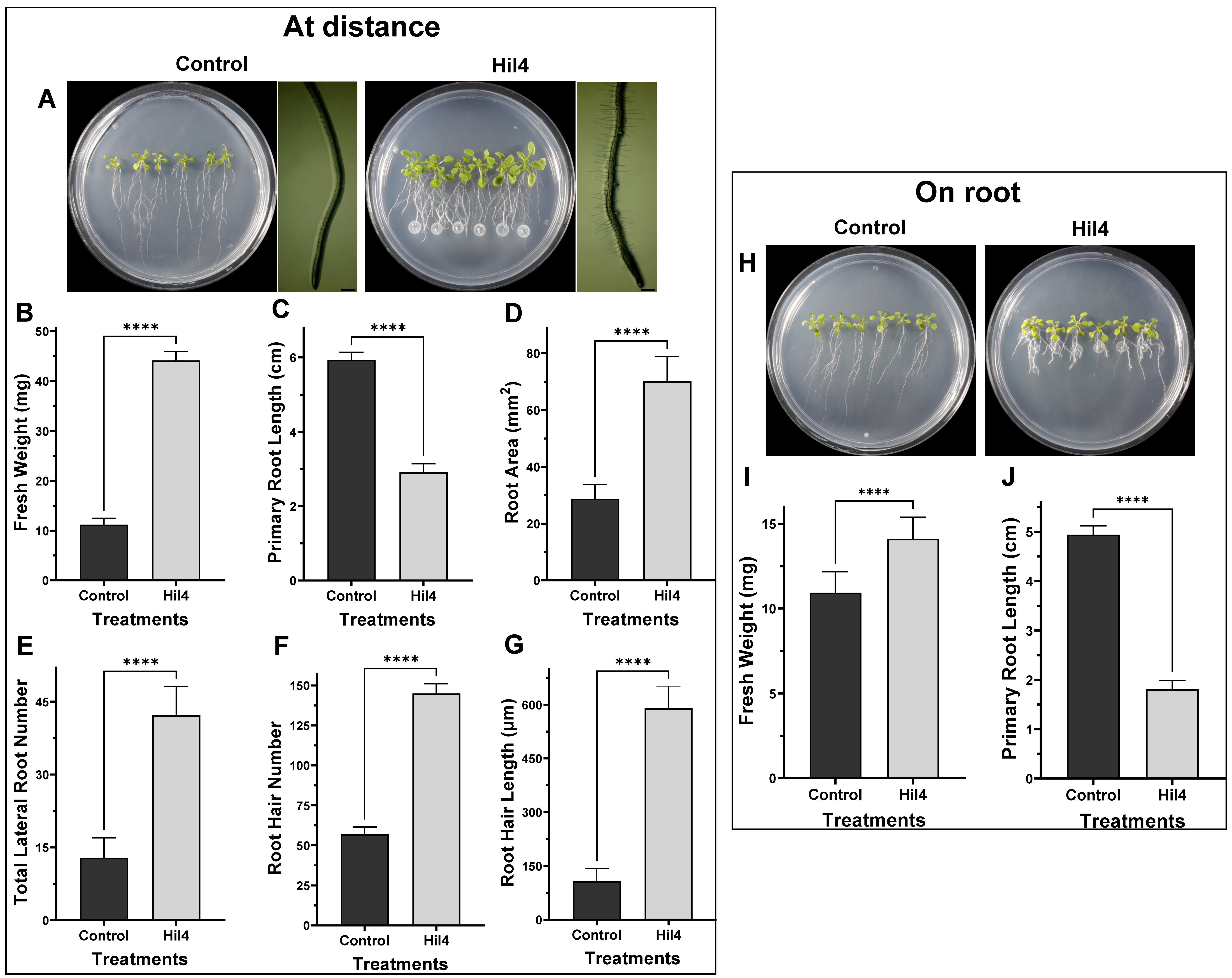 Microorganisms 09 02508 g010 Microorganisms 09 02508 g010