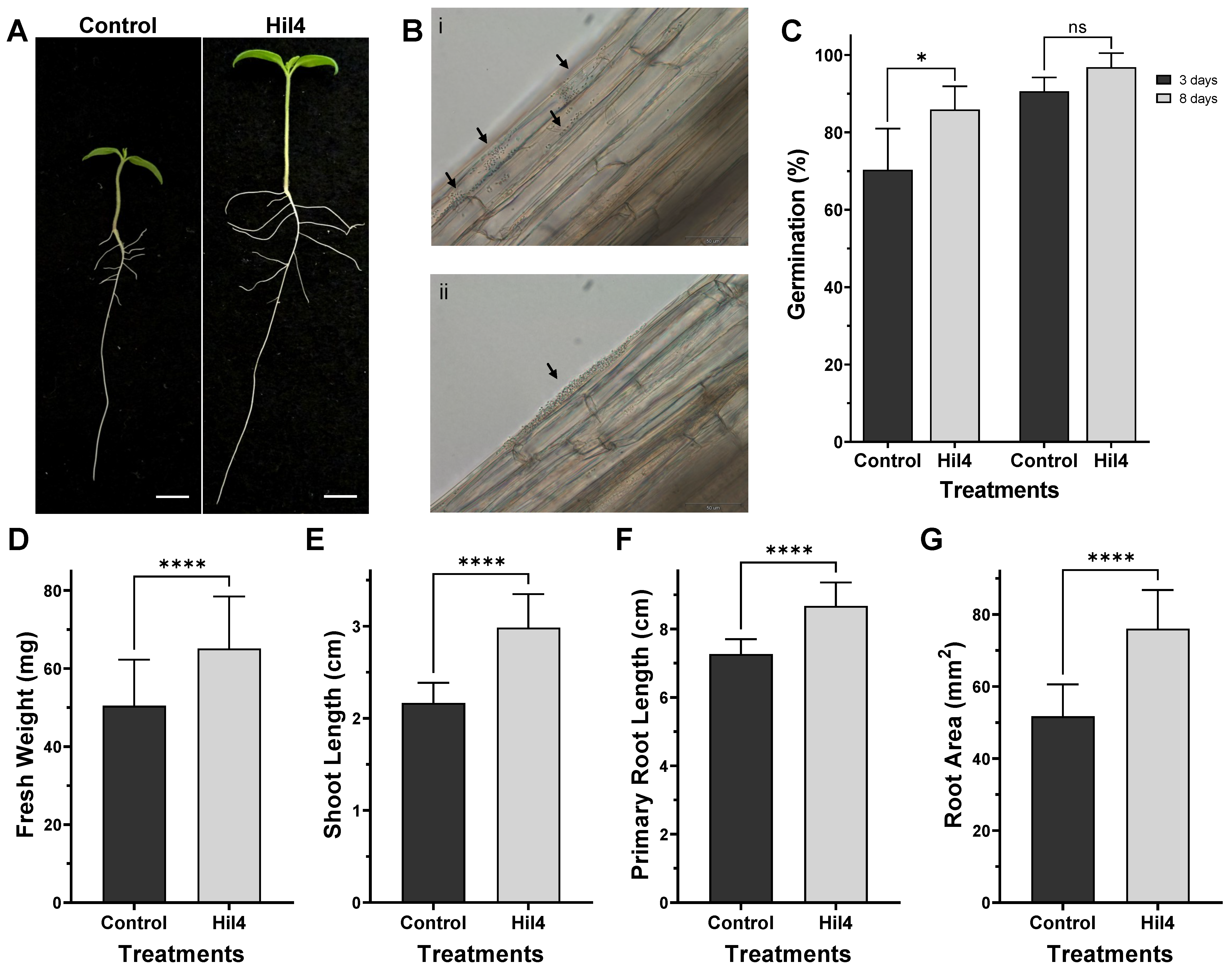 Microorganisms 09 02508 g012 Microorganisms 09 02508 g012