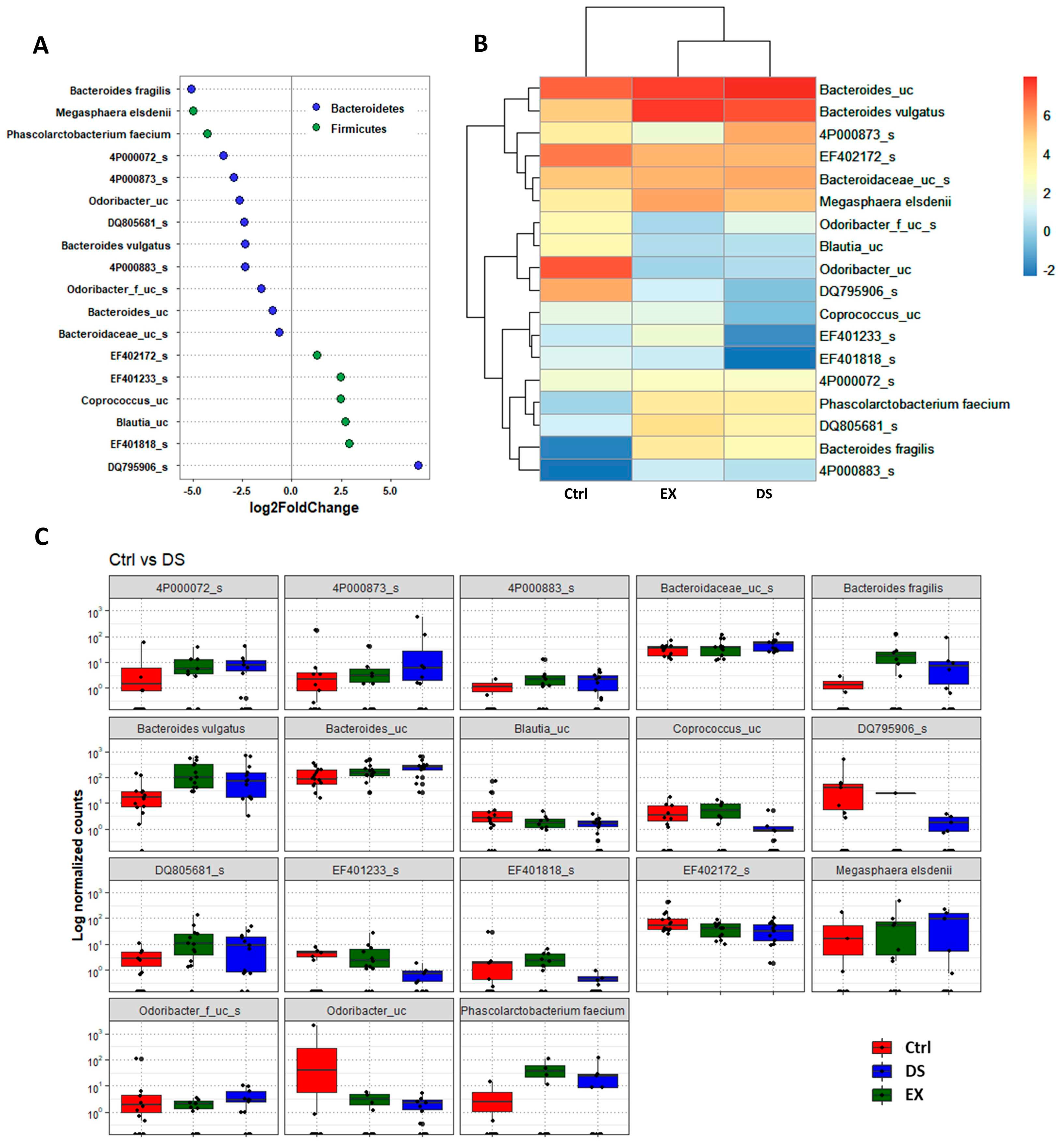 Microorganisms 09 02520 g006