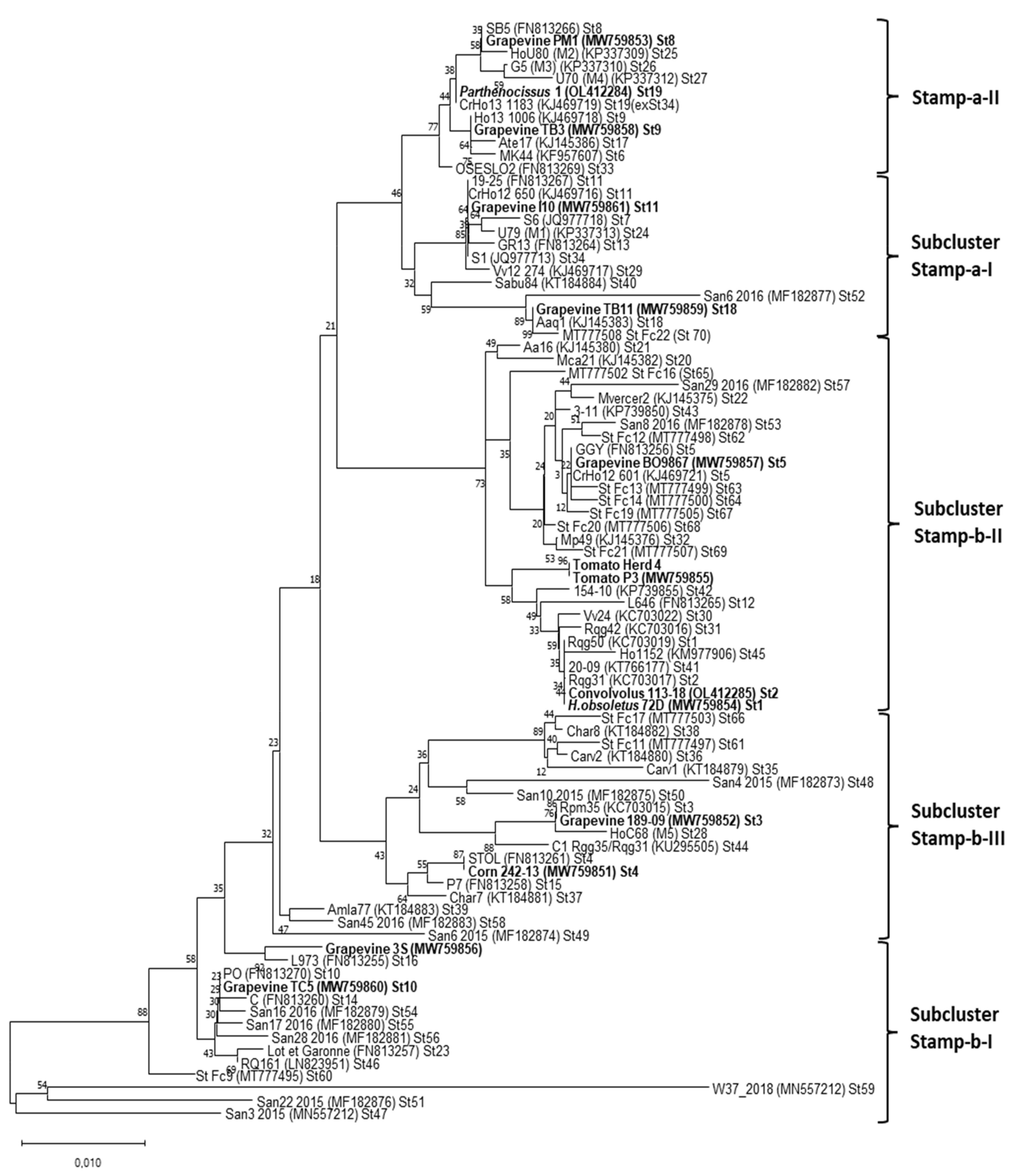 Microorganisms 09 02530 g003