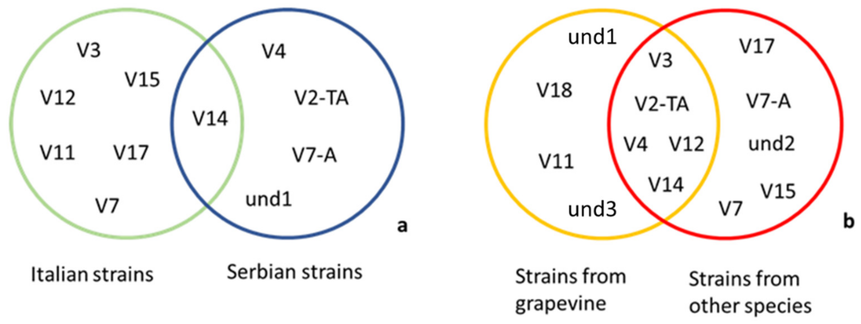 Microorganisms 09 02530 g005