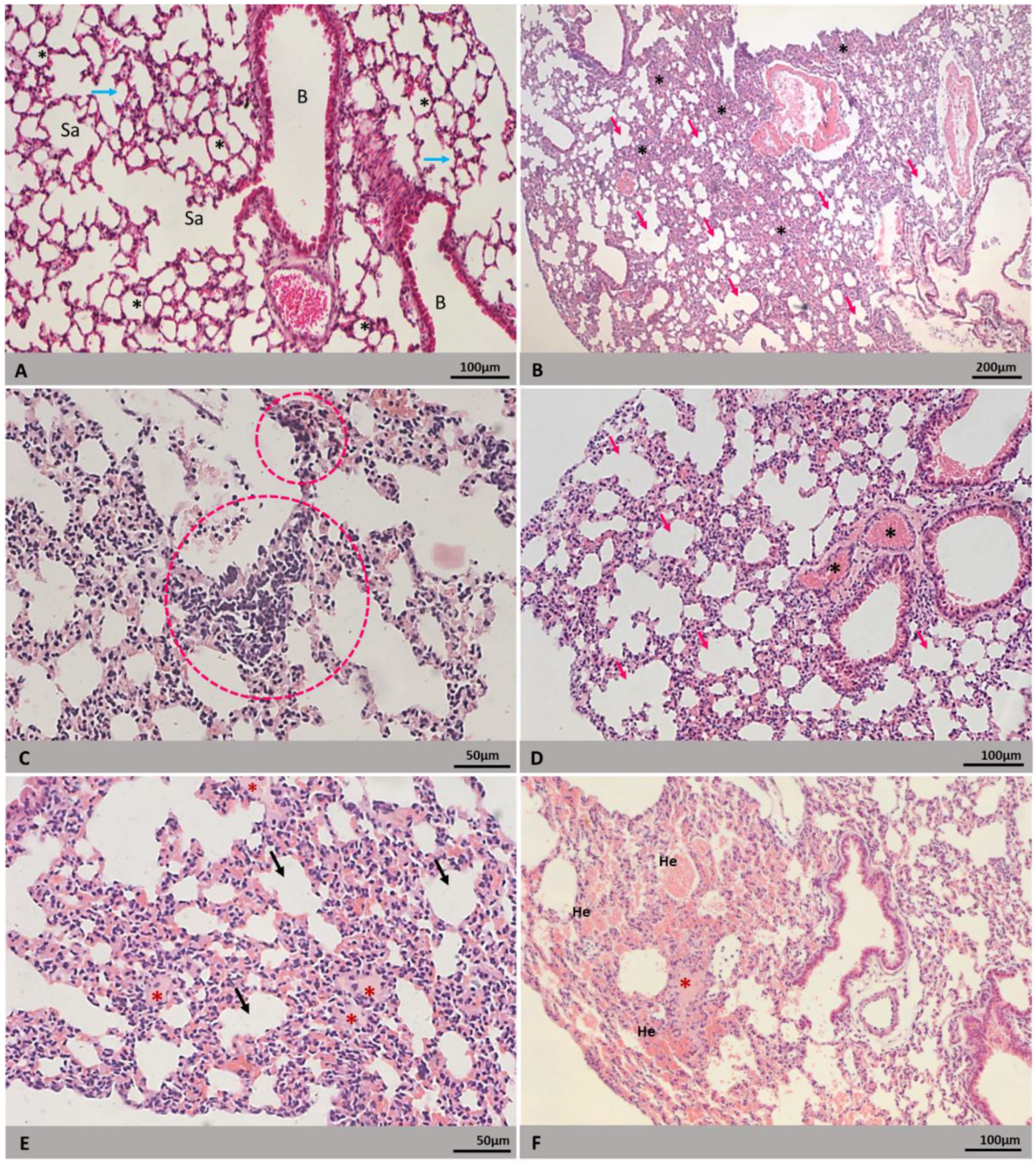 Microorganisms 09 02536 g003