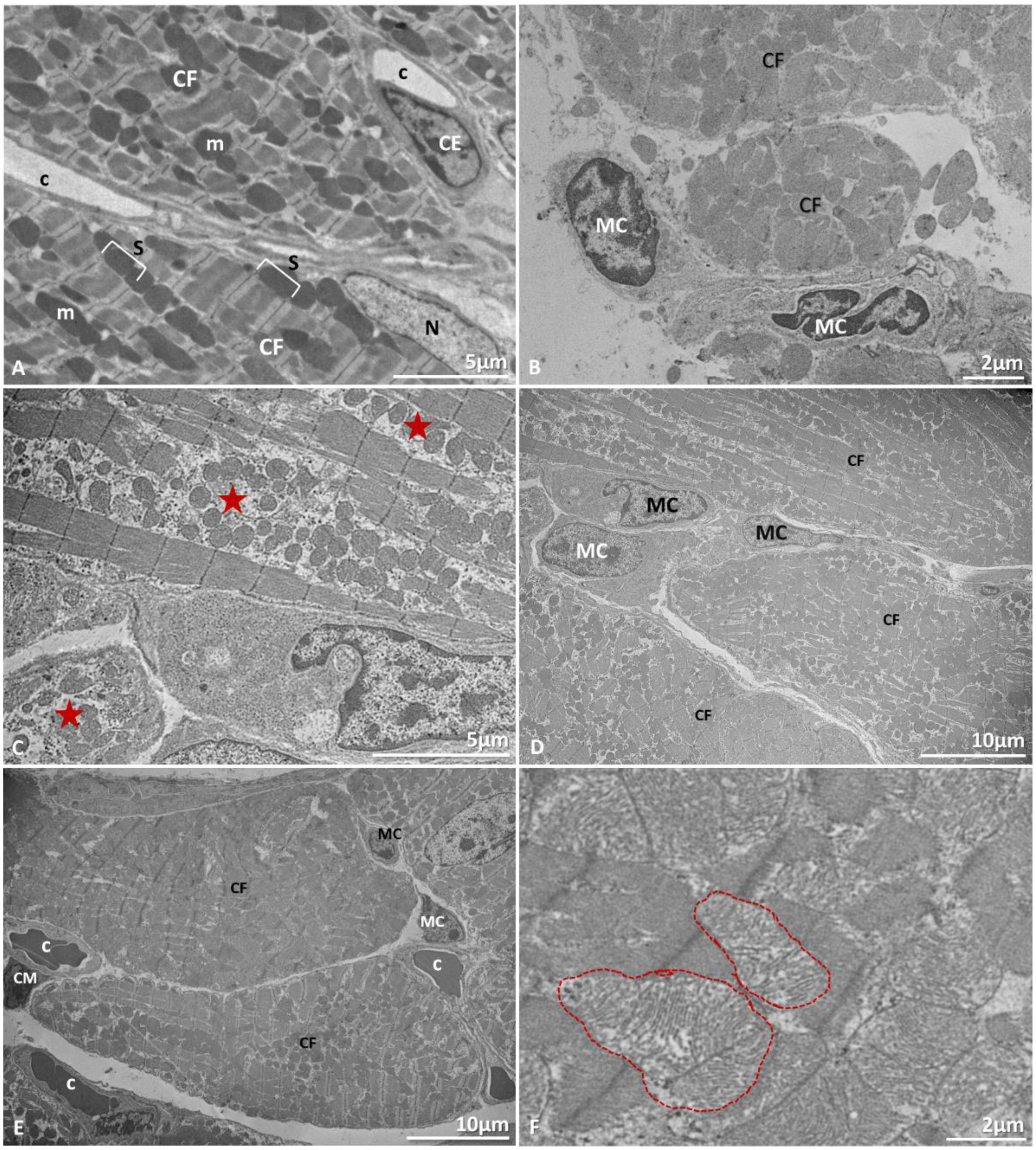 Microorganisms 09 02536 g005