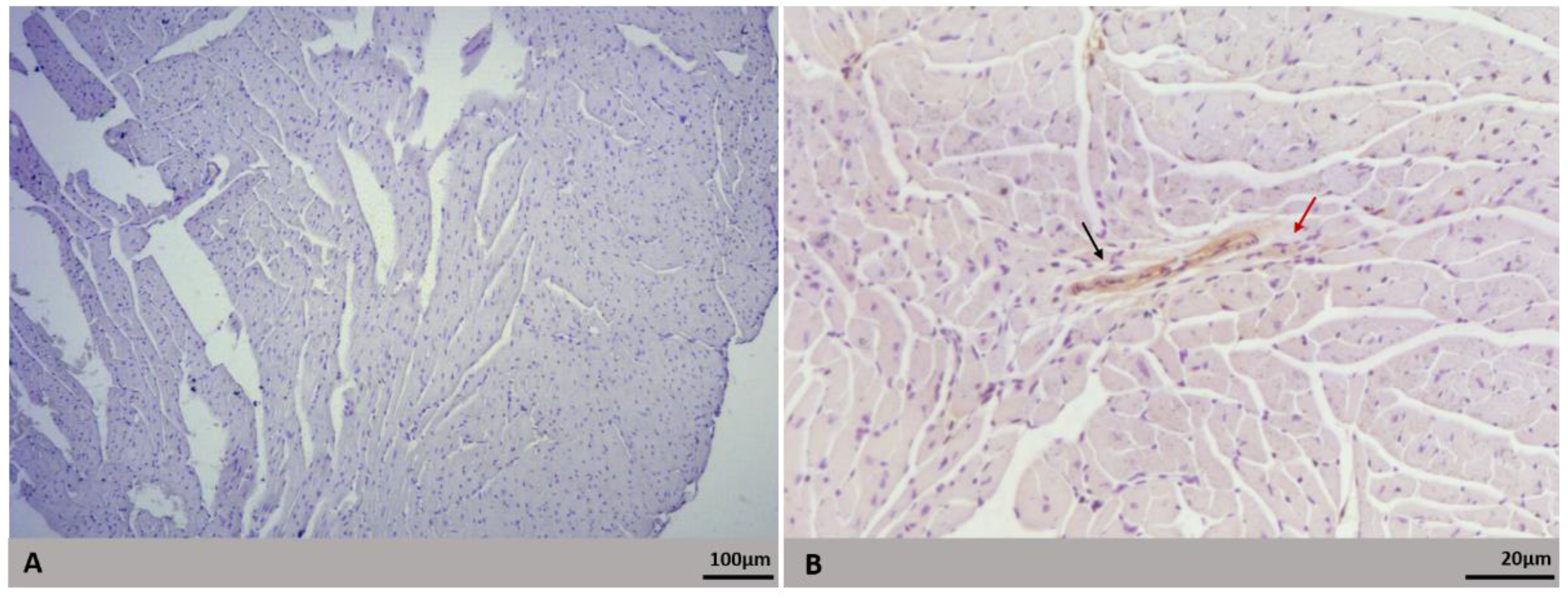 Microorganisms 09 02536 g007