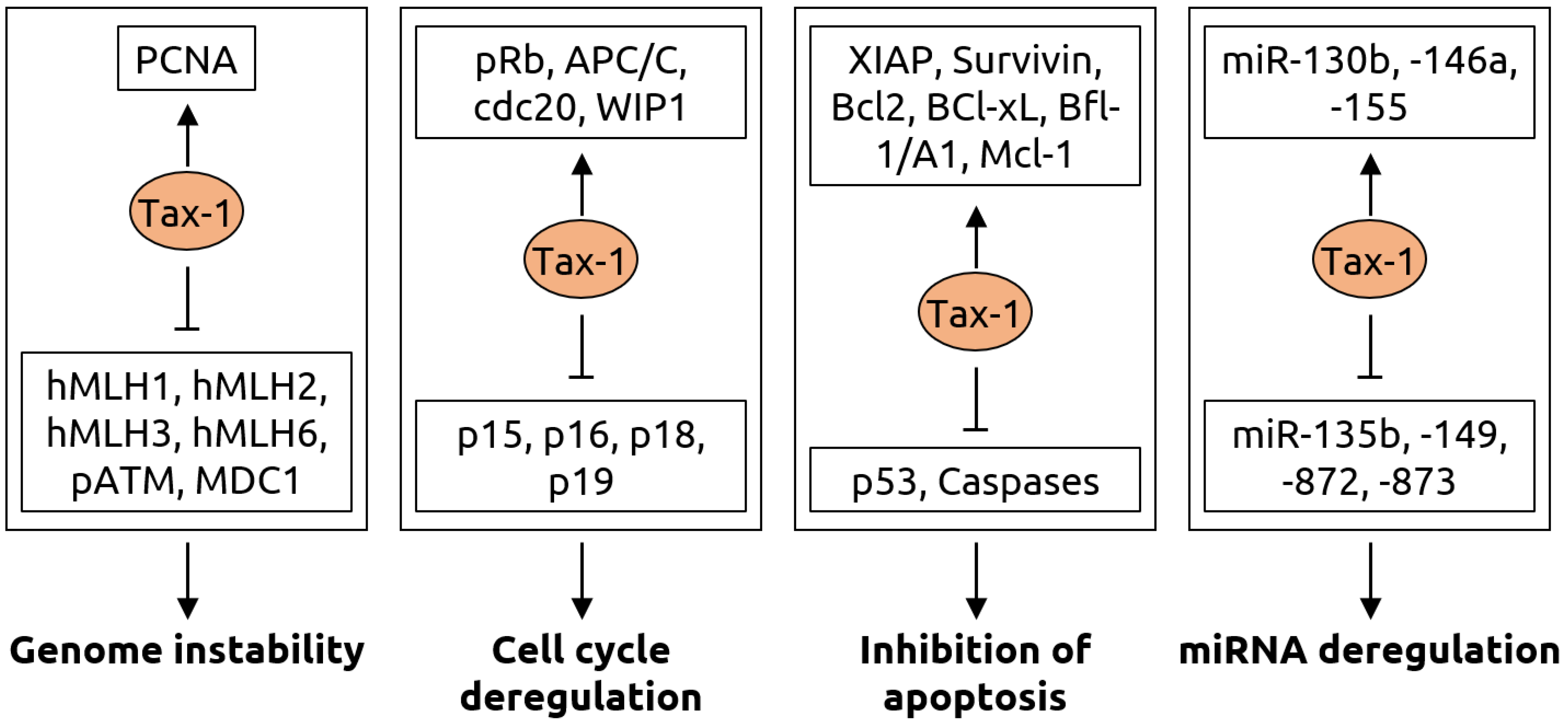 Microorganisms 09 02538 g005