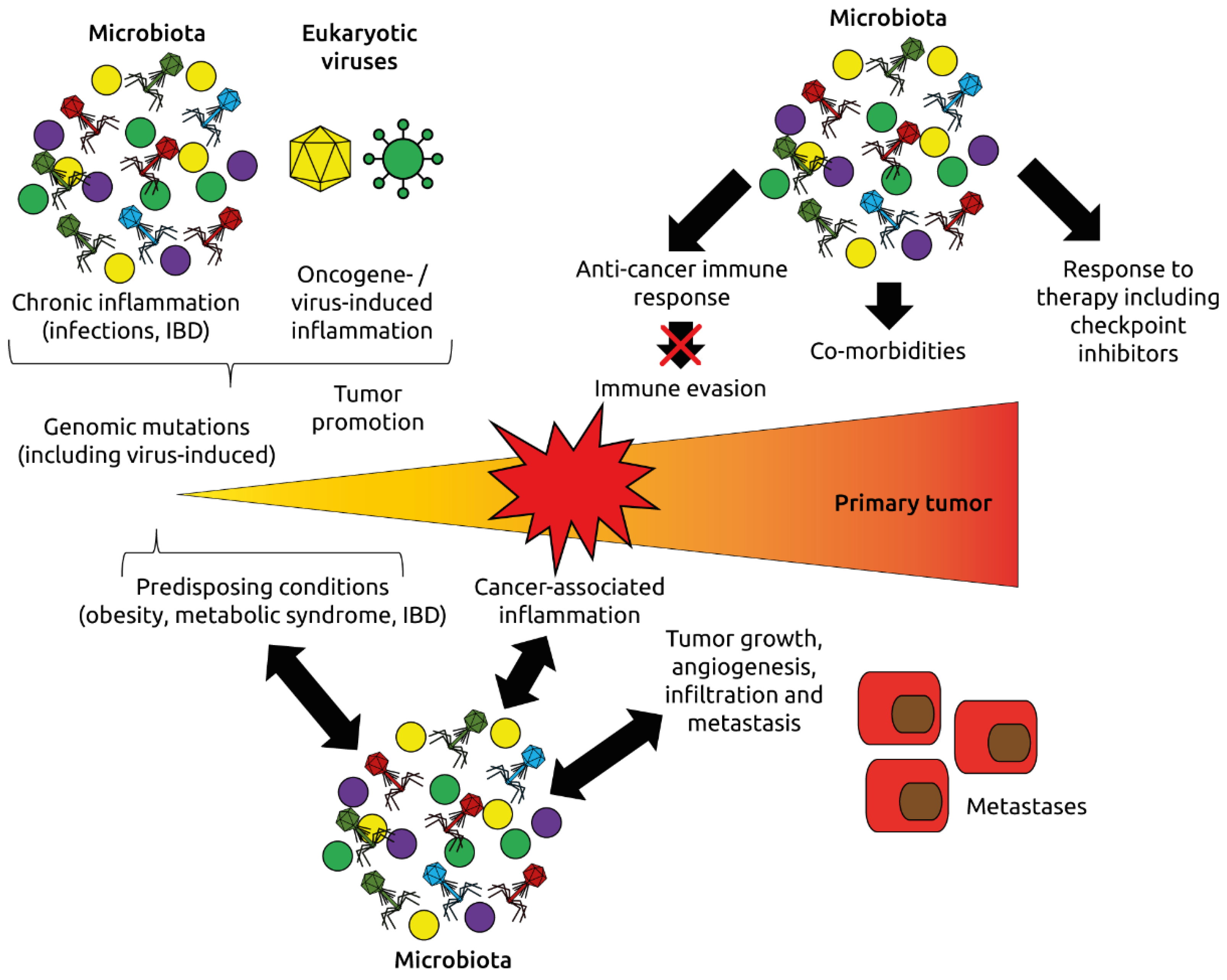 Microorganisms 09 02538 g008