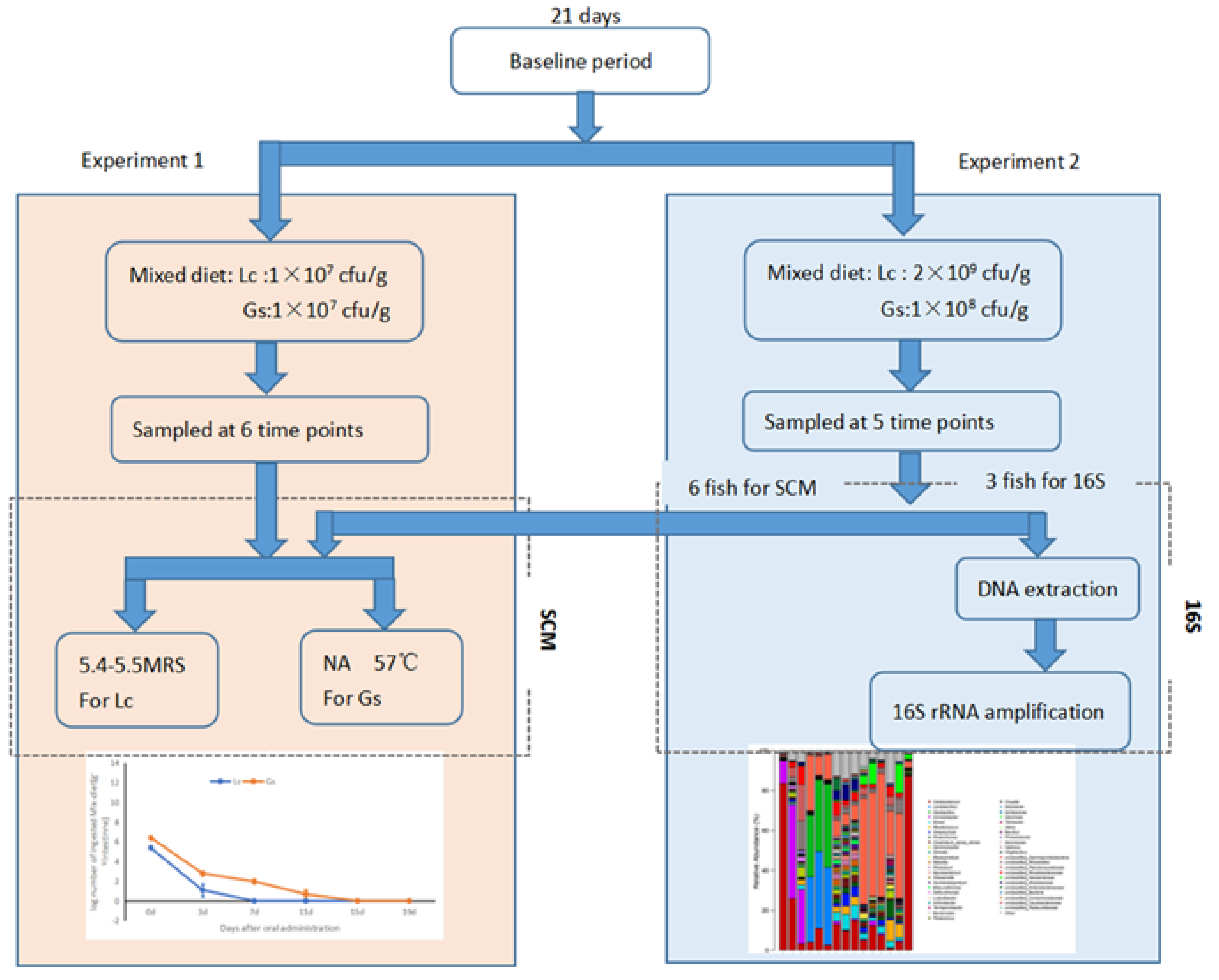Microorganisms 09 02547 g0a1