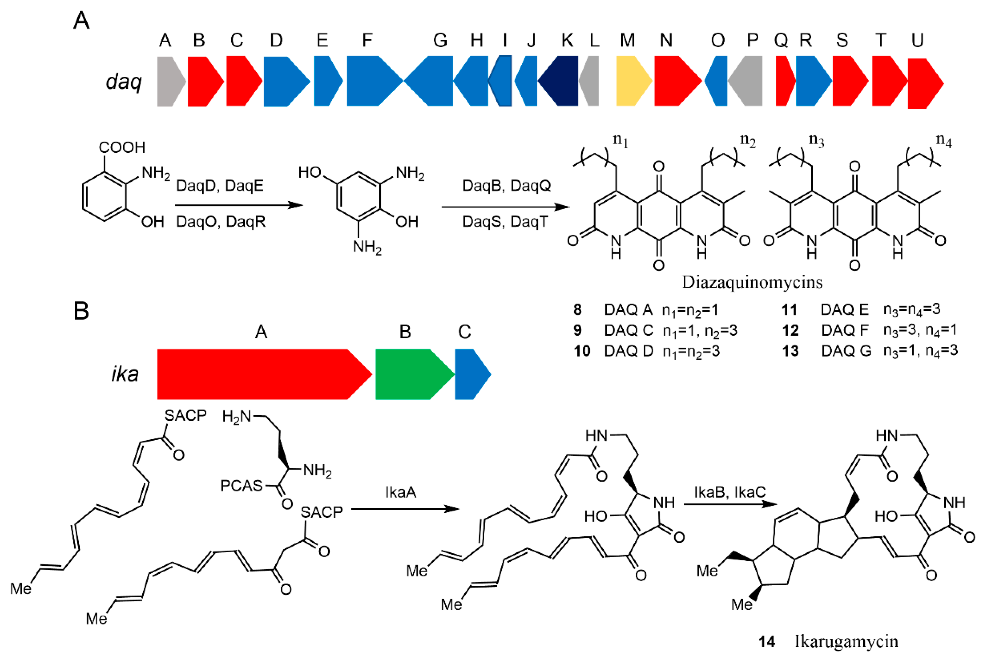 Microorganisms 09 02551 g004 Microorganisms 09 02551 g004