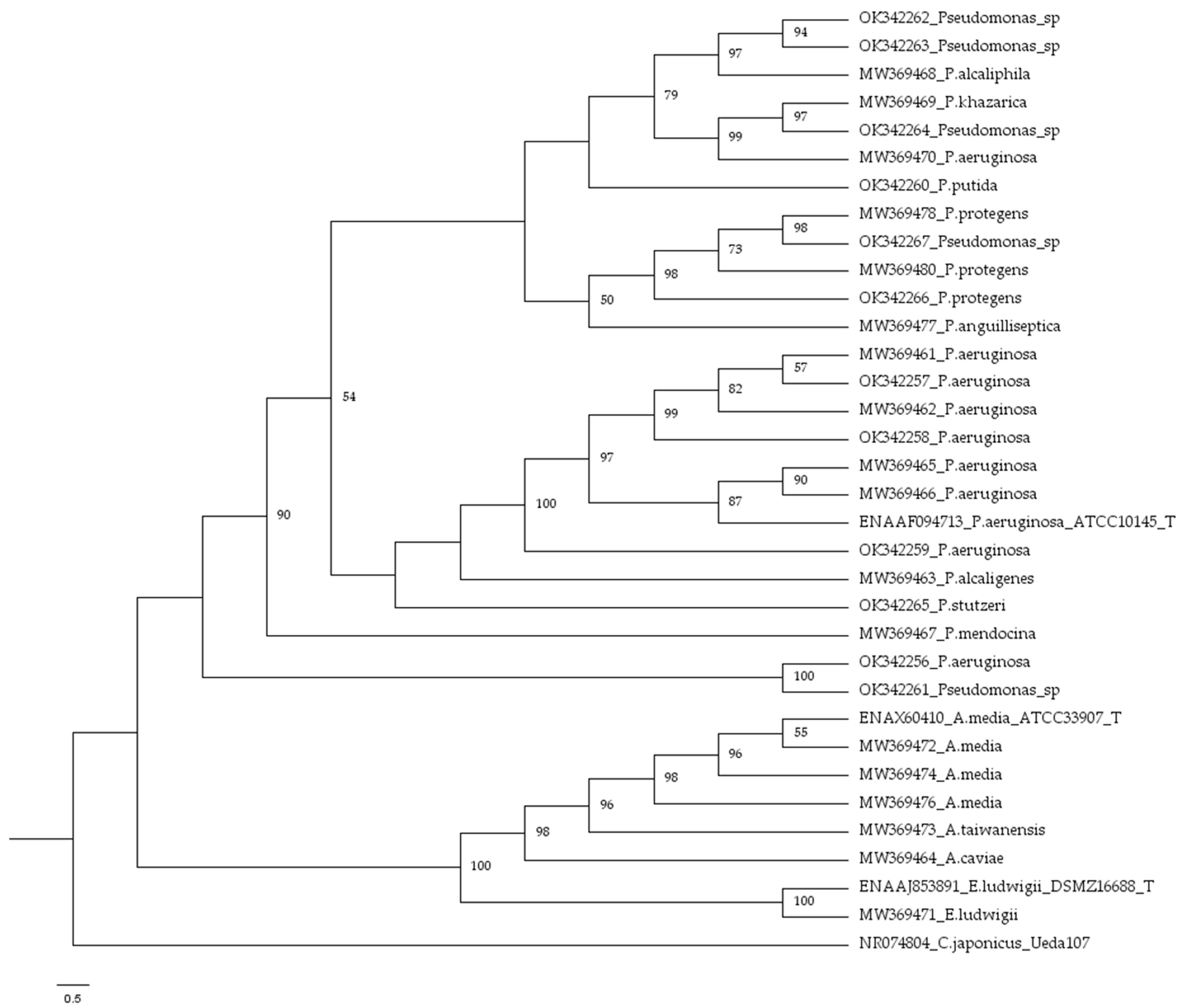 Microorganisms 09 02555 g002