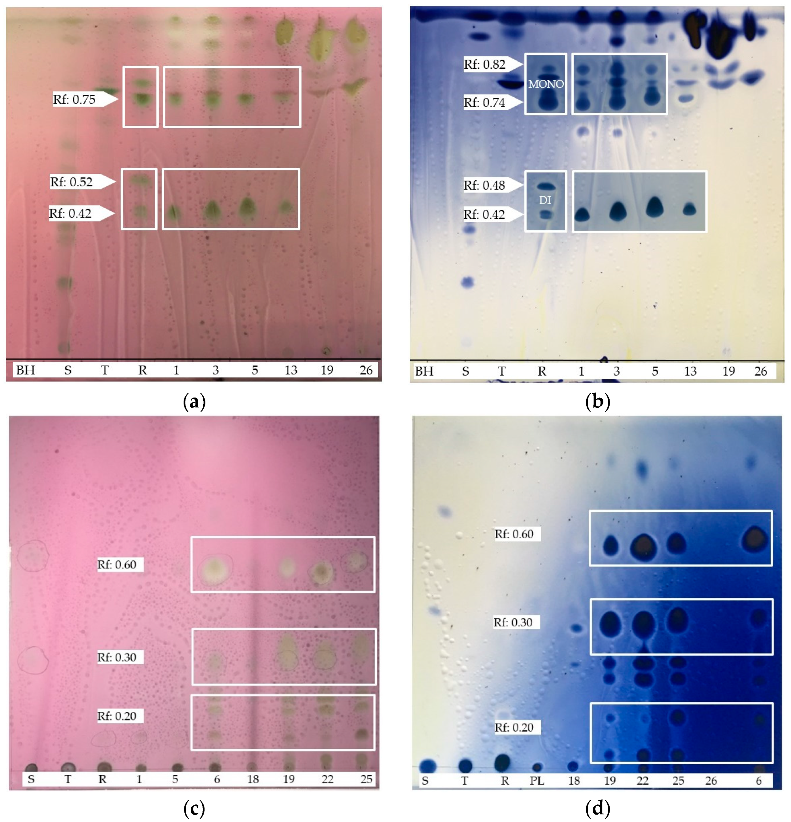 Microorganisms 09 02555 g004