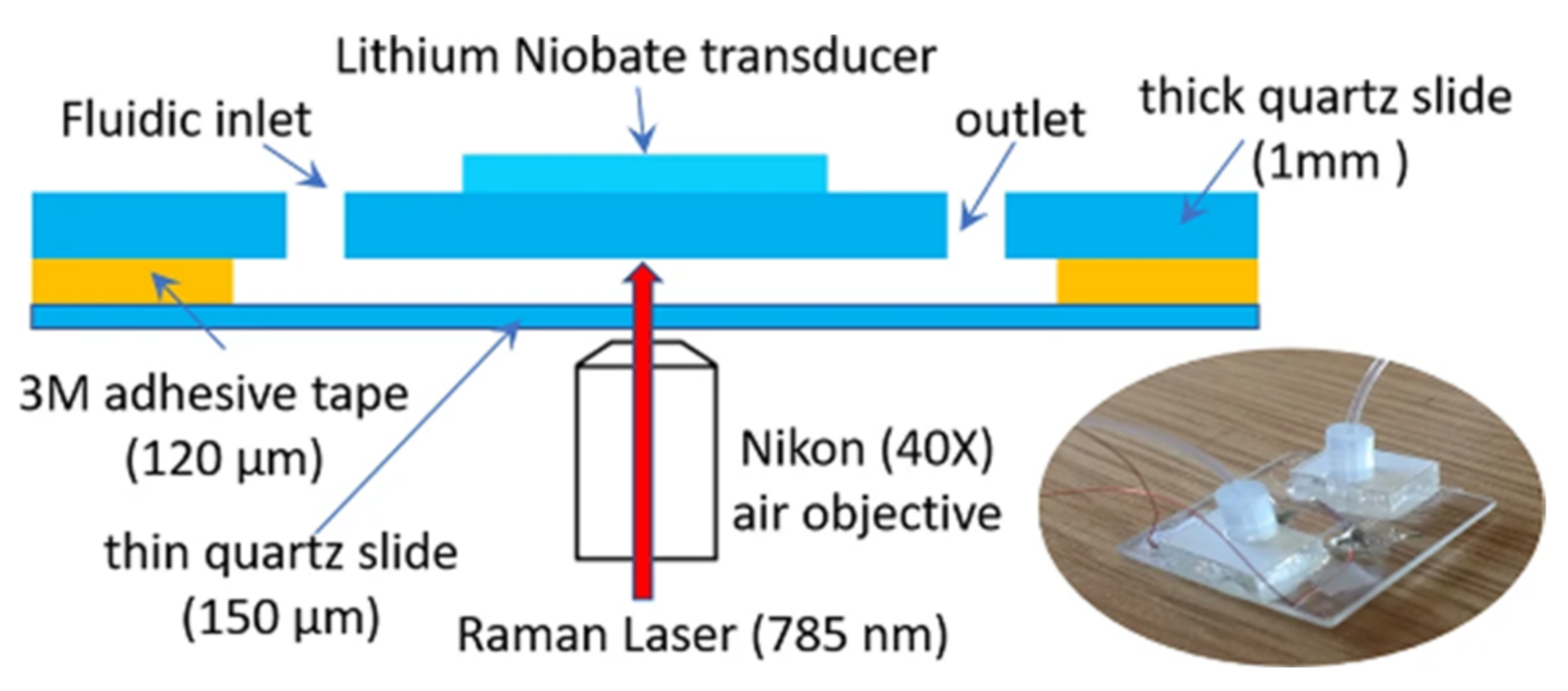 Microorganisms 09 02562 g008