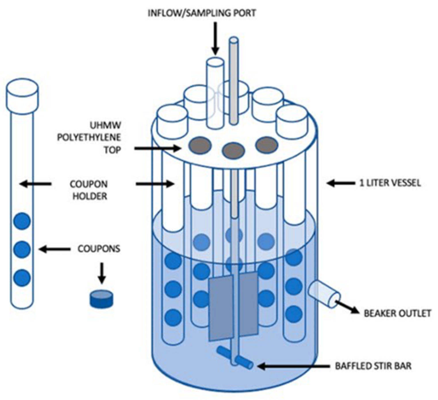 Microorganisms 09 02562 g011