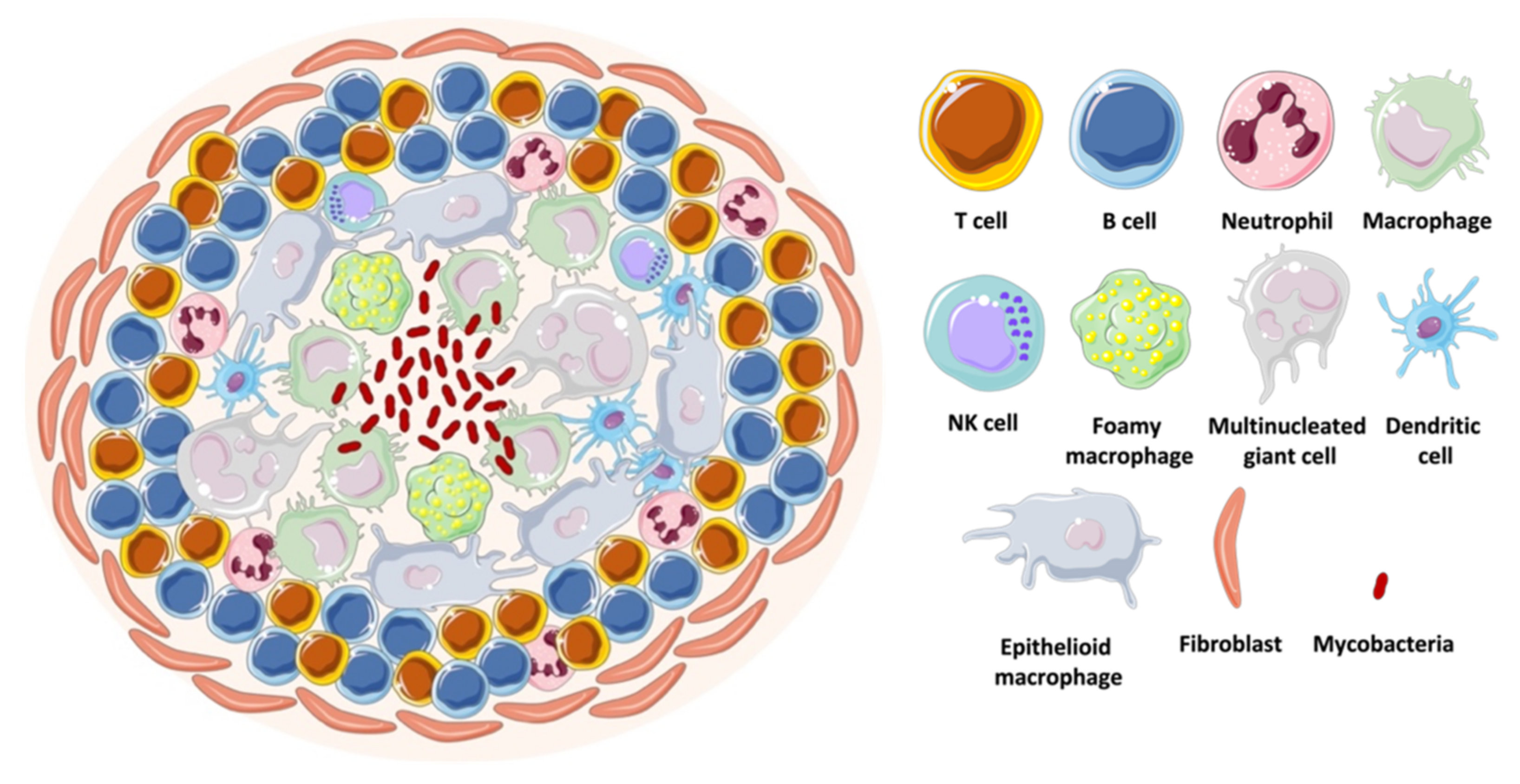 Microorganisms 09 02562 g012