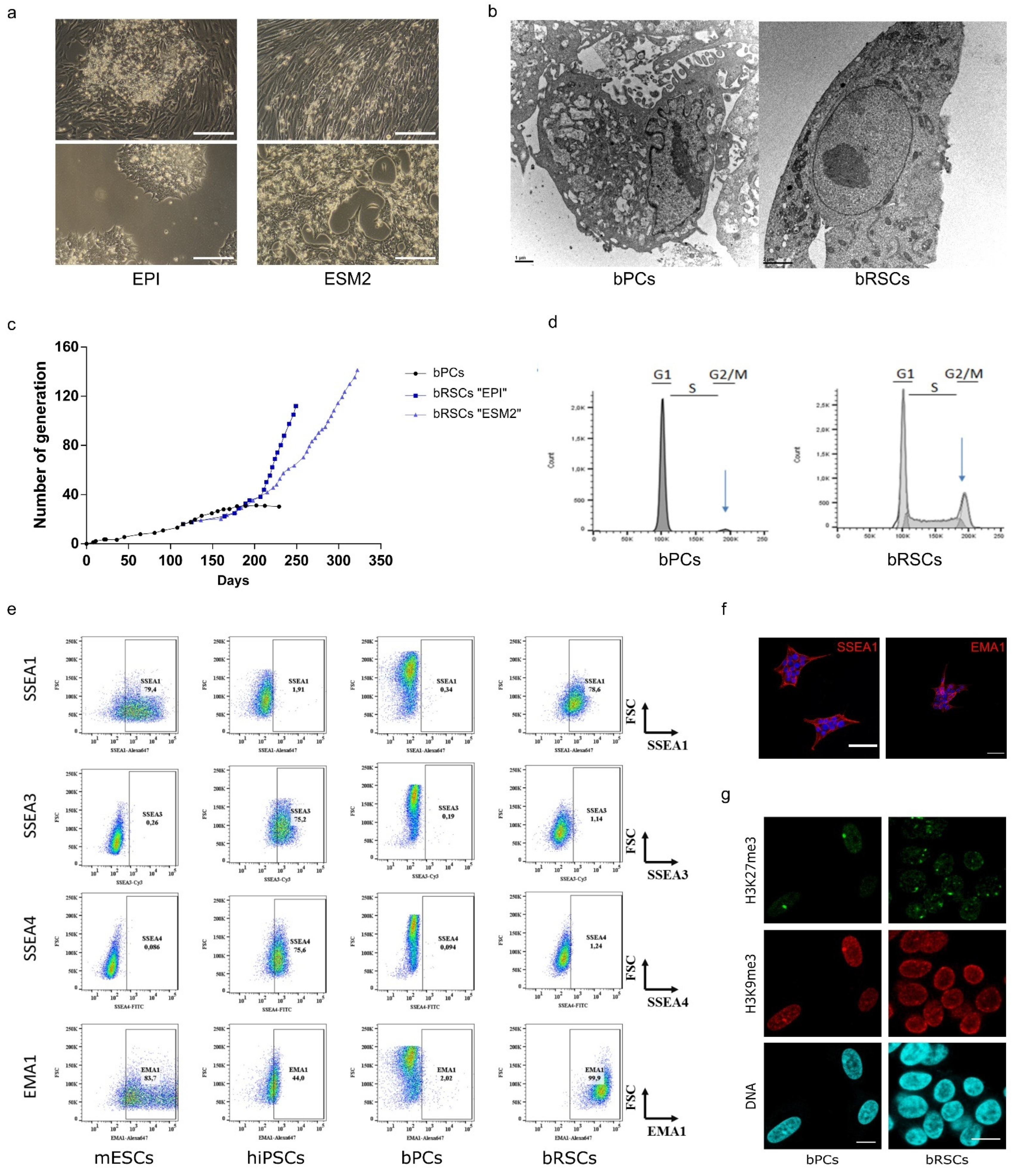 Microorganisms 09 02567 g002