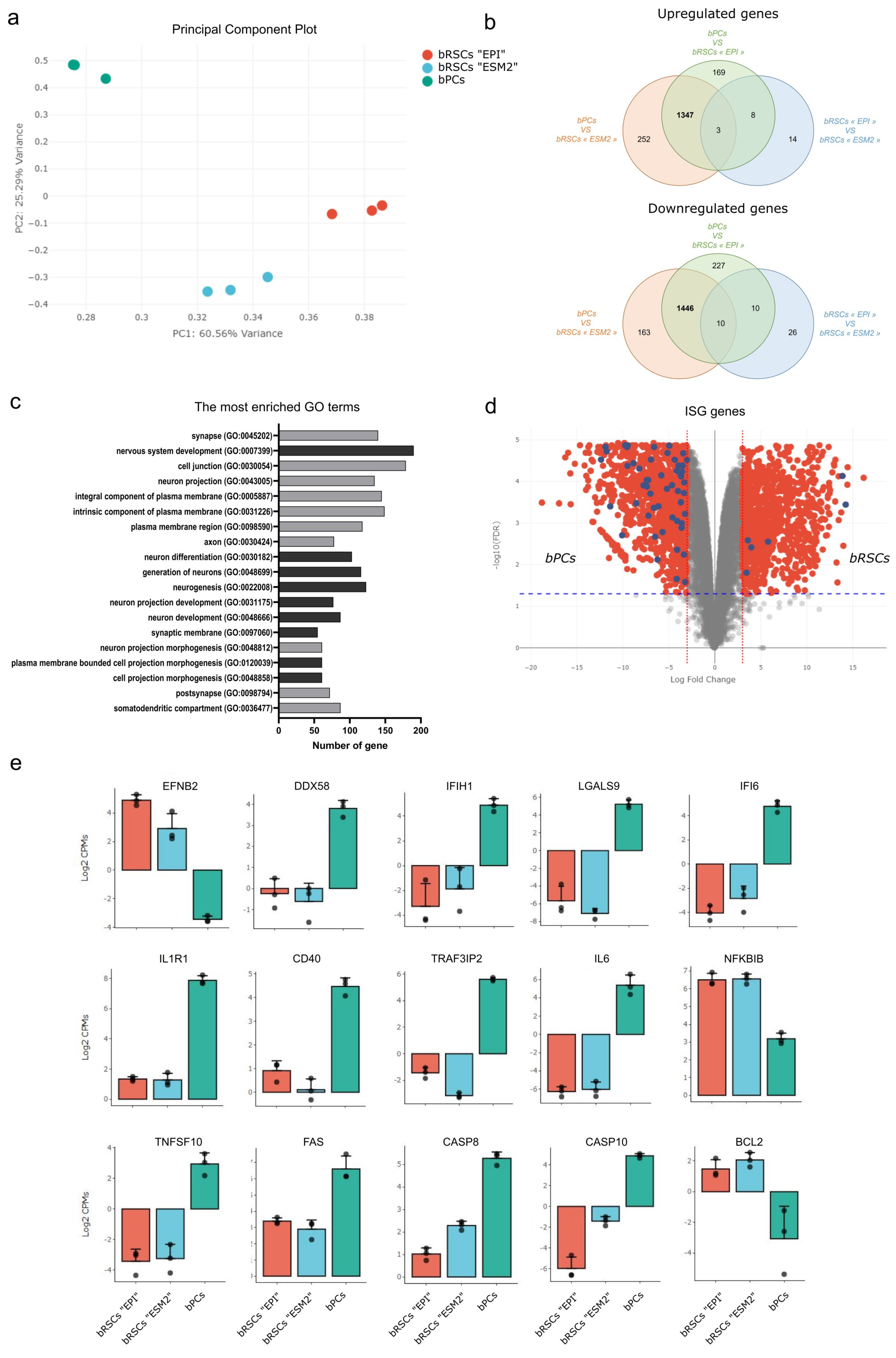 Microorganisms 09 02567 g003