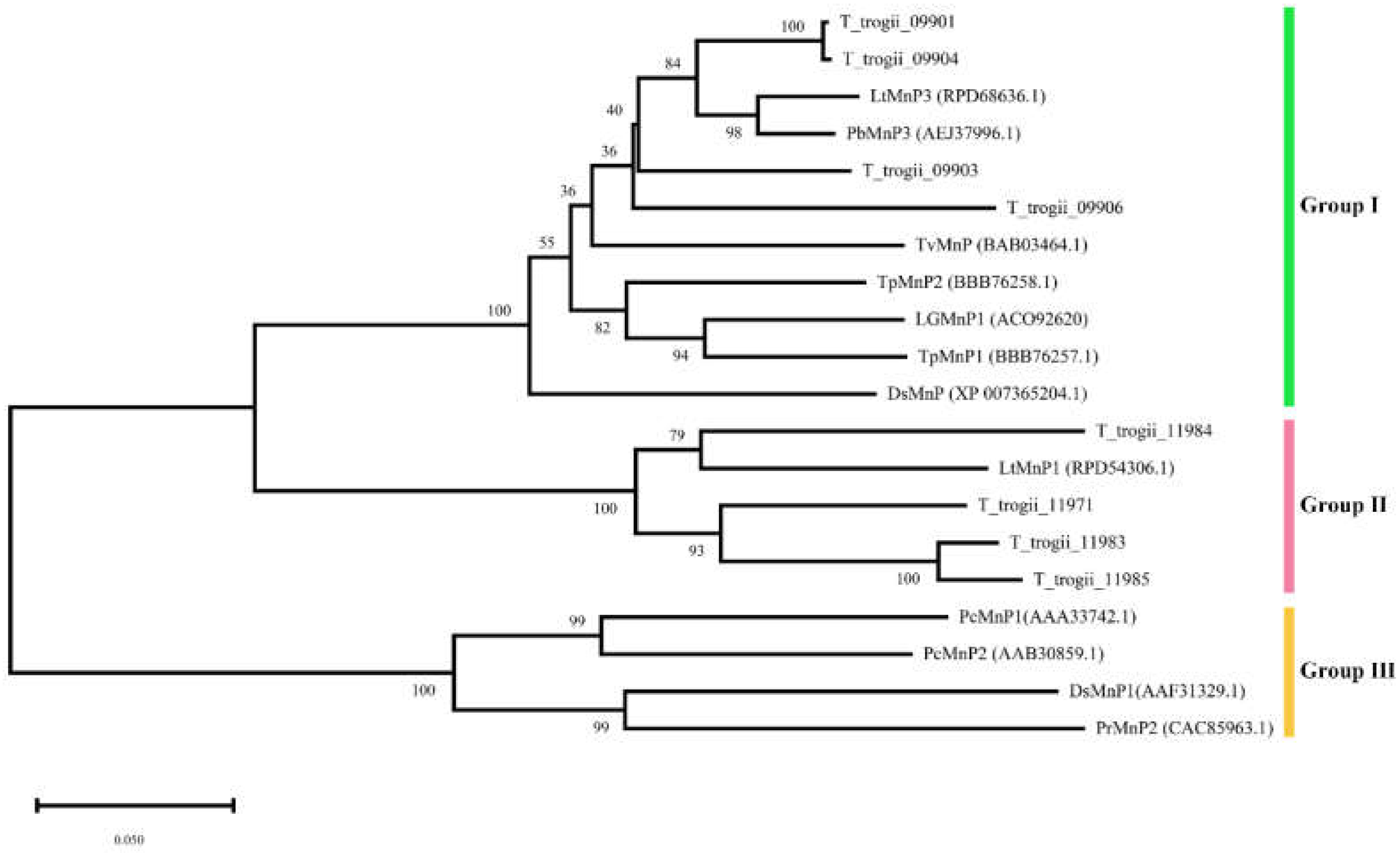 Microorganisms 09 02595 g001
