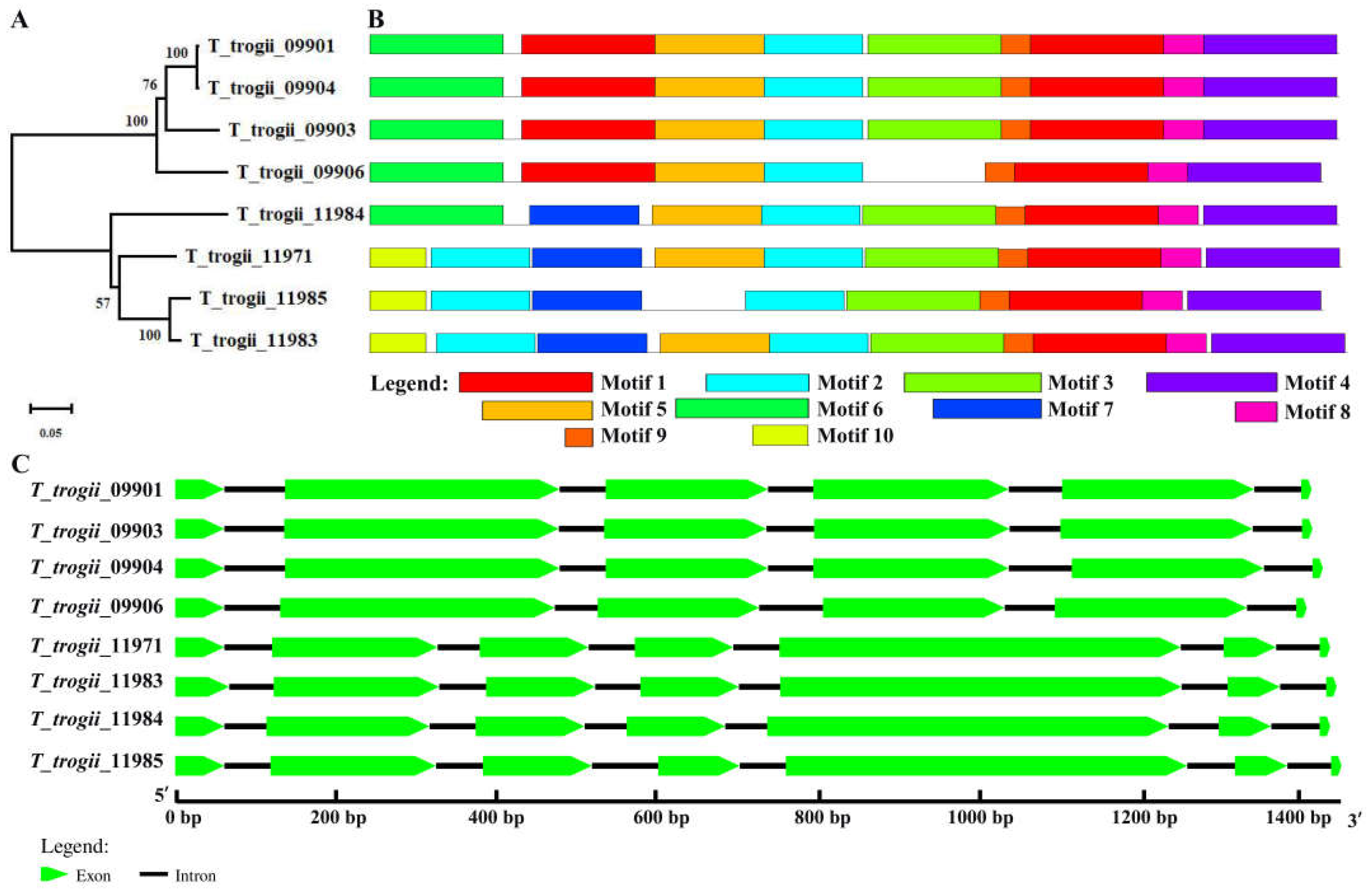 Microorganisms 09 02595 g002