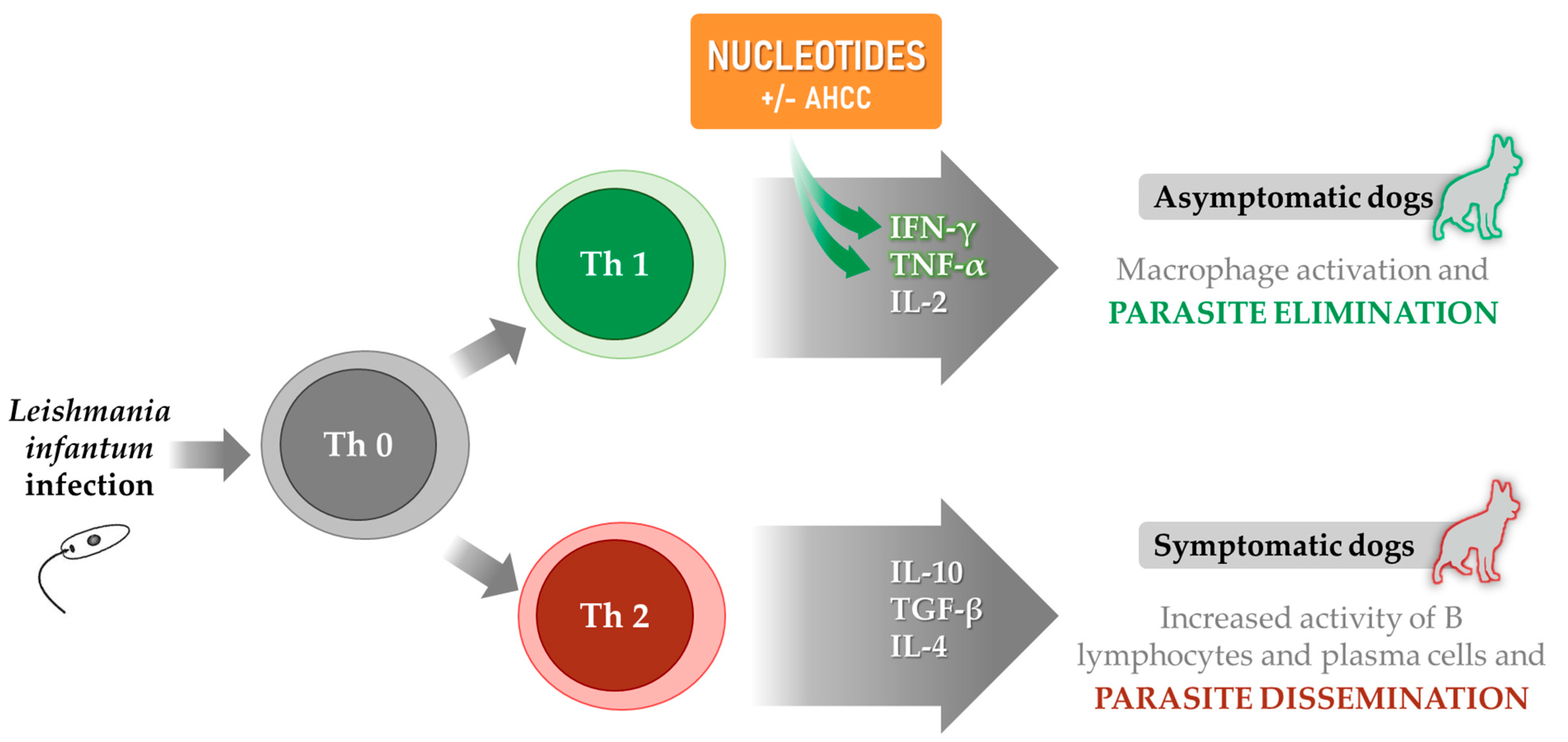Microorganisms 09 02601 g001