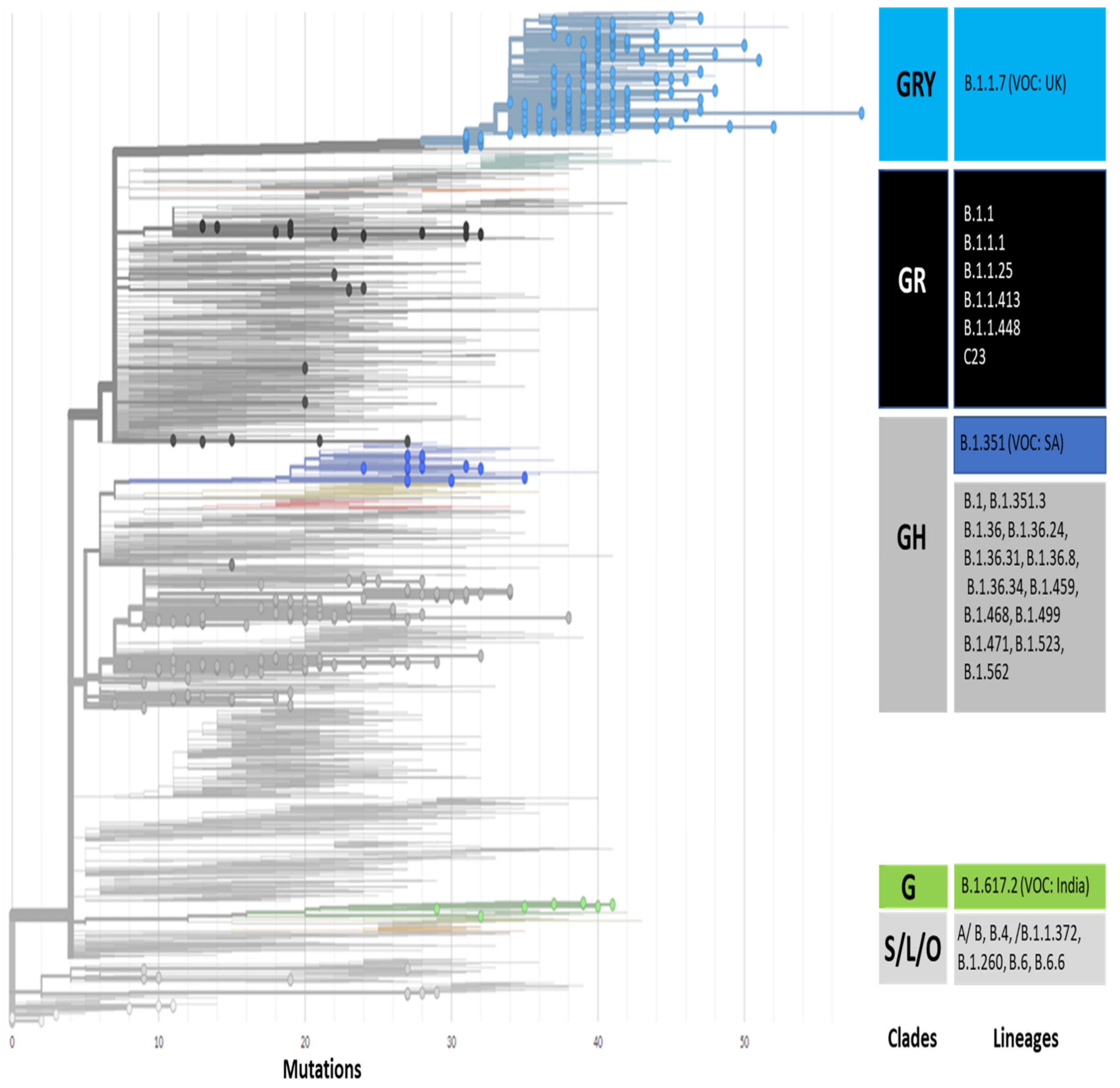 Microorganisms 09 02609 g007