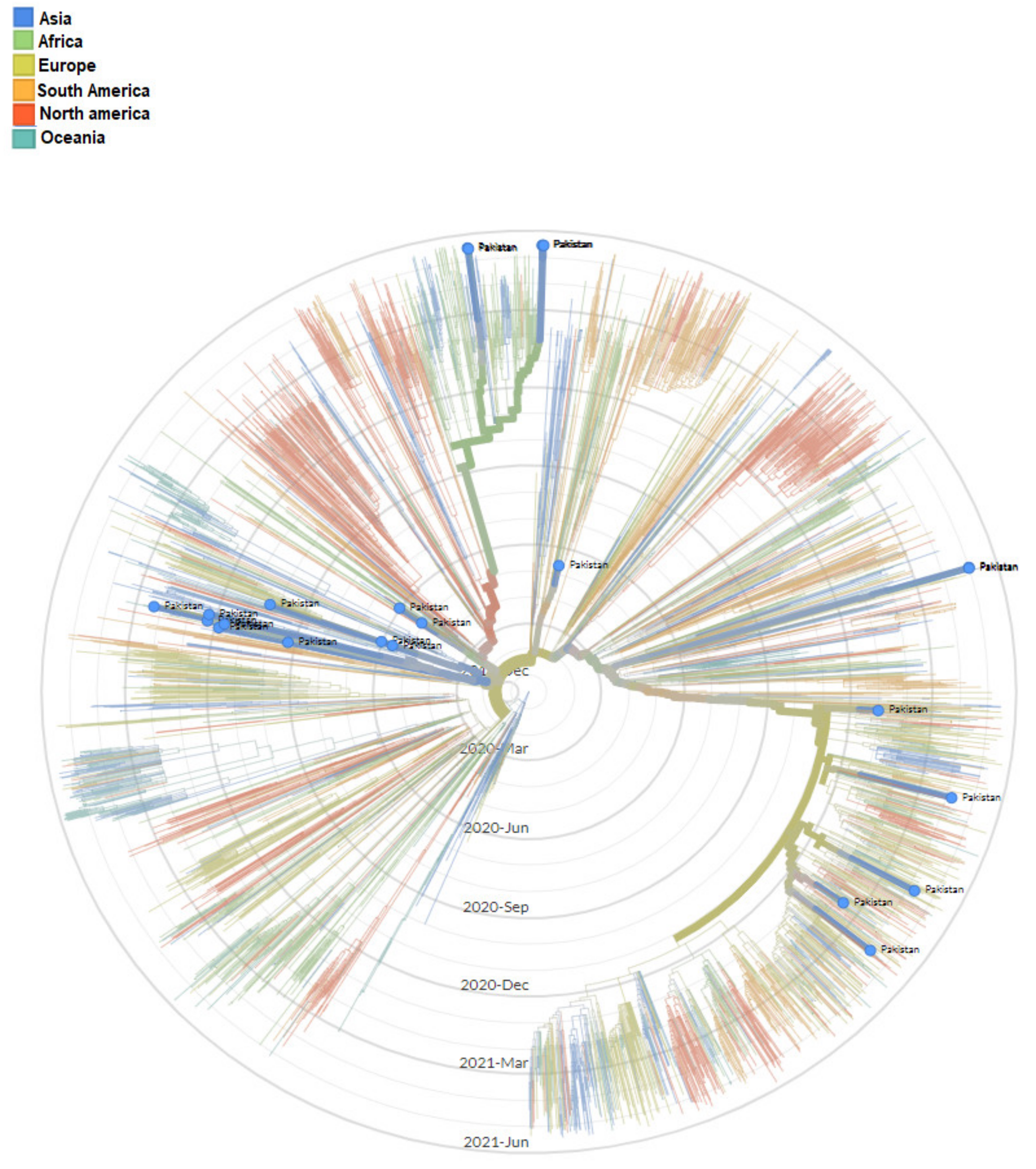 Microorganisms 09 02609 g008