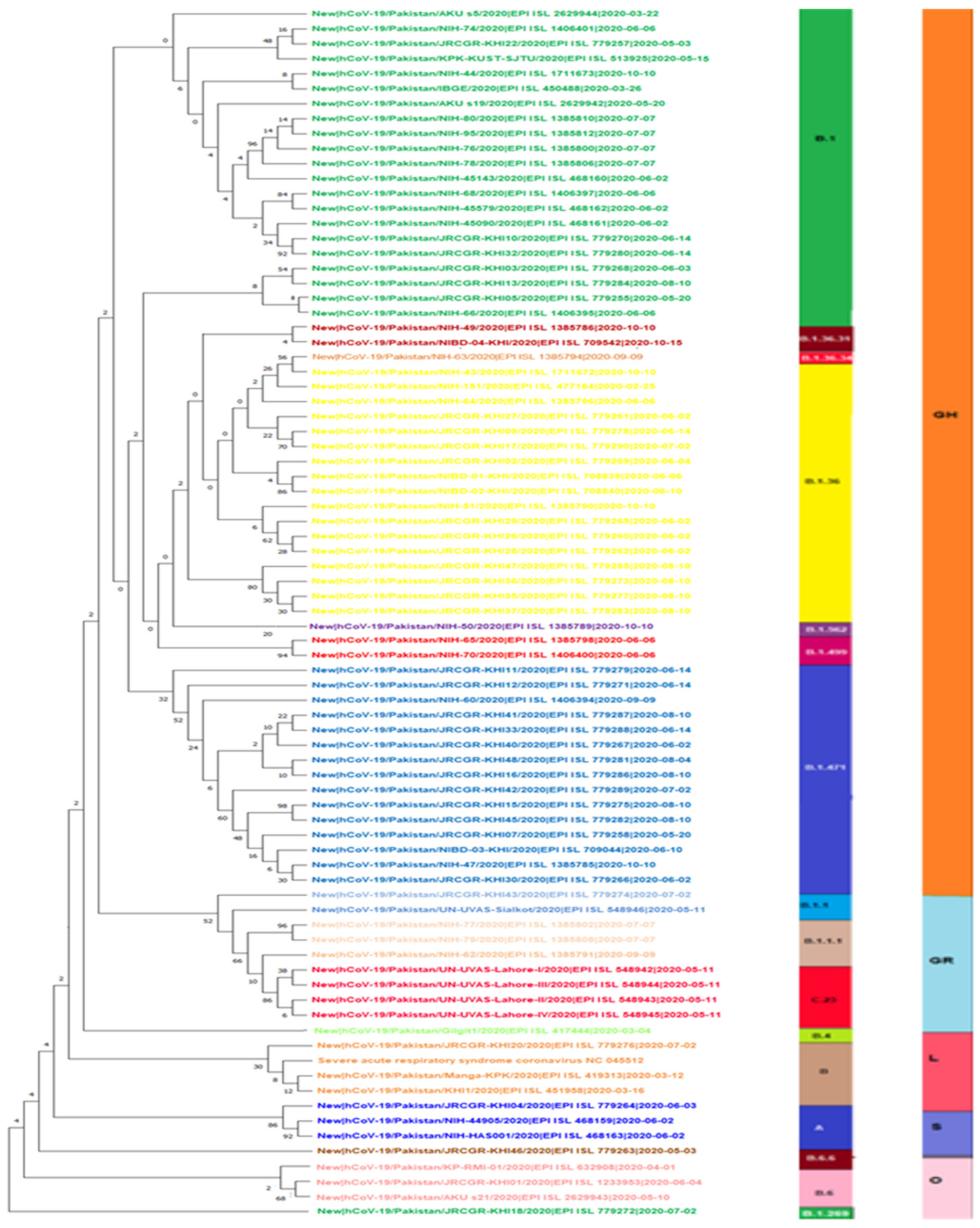 Microorganisms 09 02609 g009