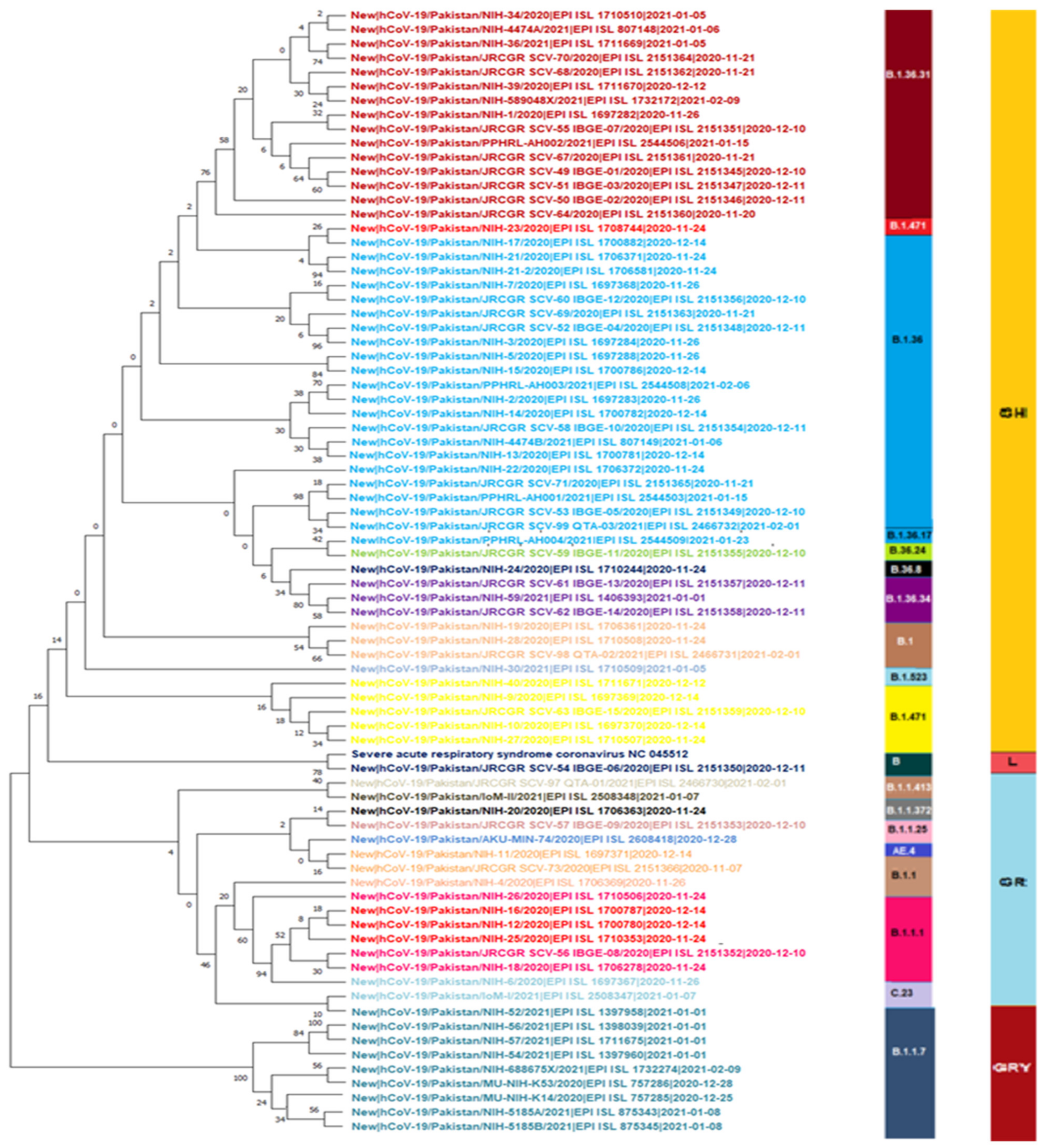 Microorganisms 09 02609 g010