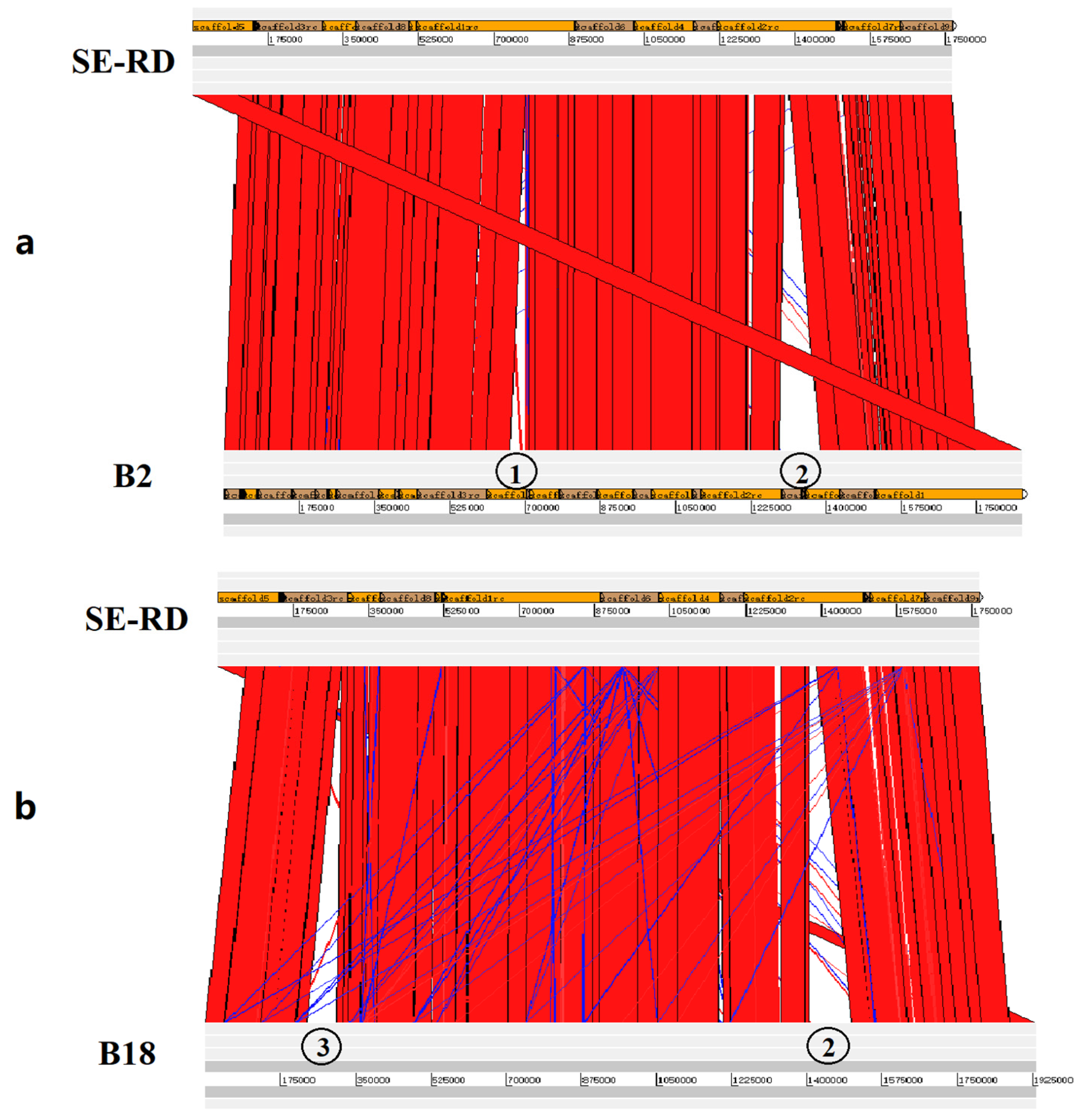 Microorganisms 09 02615 g003
