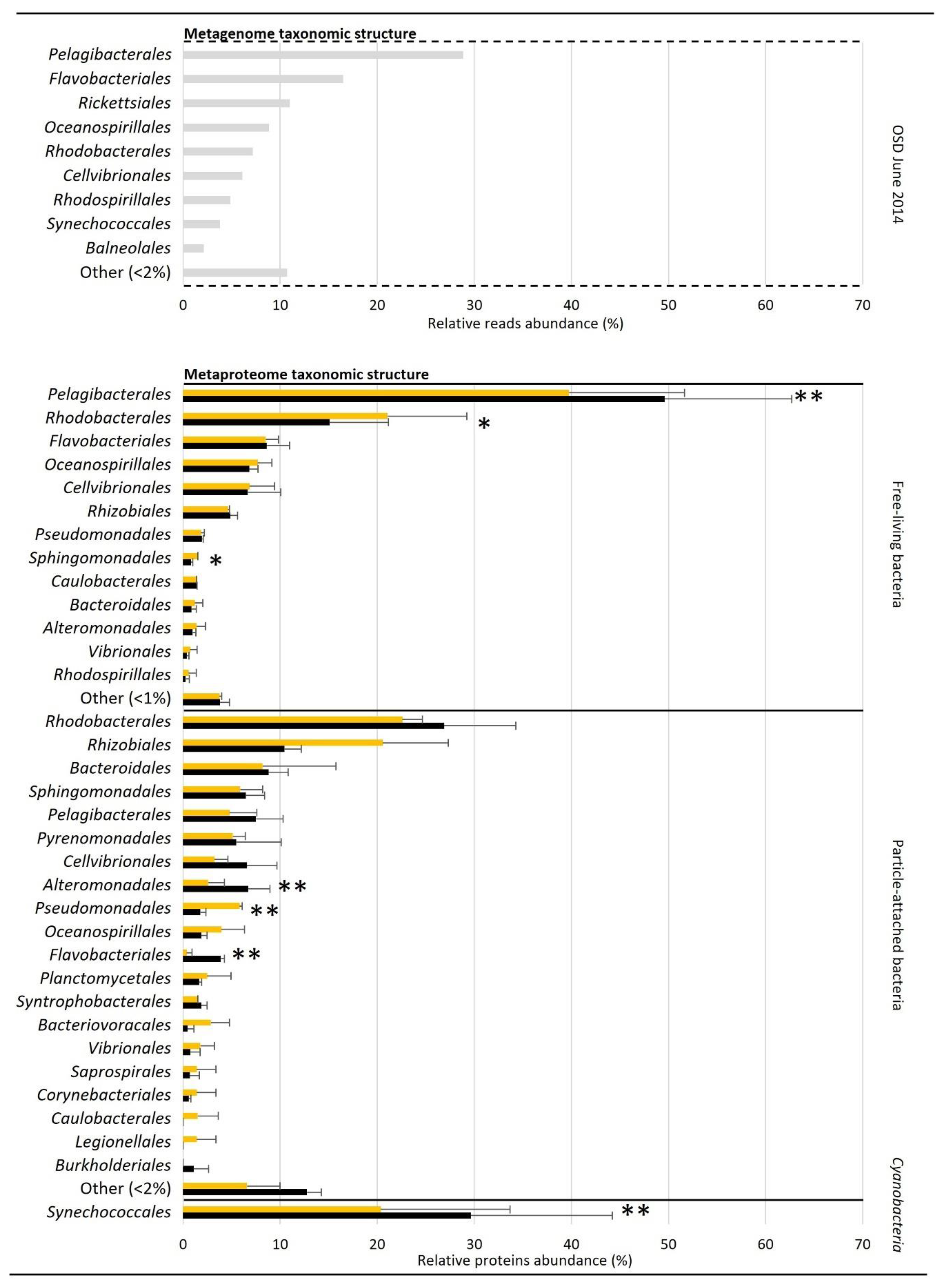 Microorganisms 09 02621 g001
