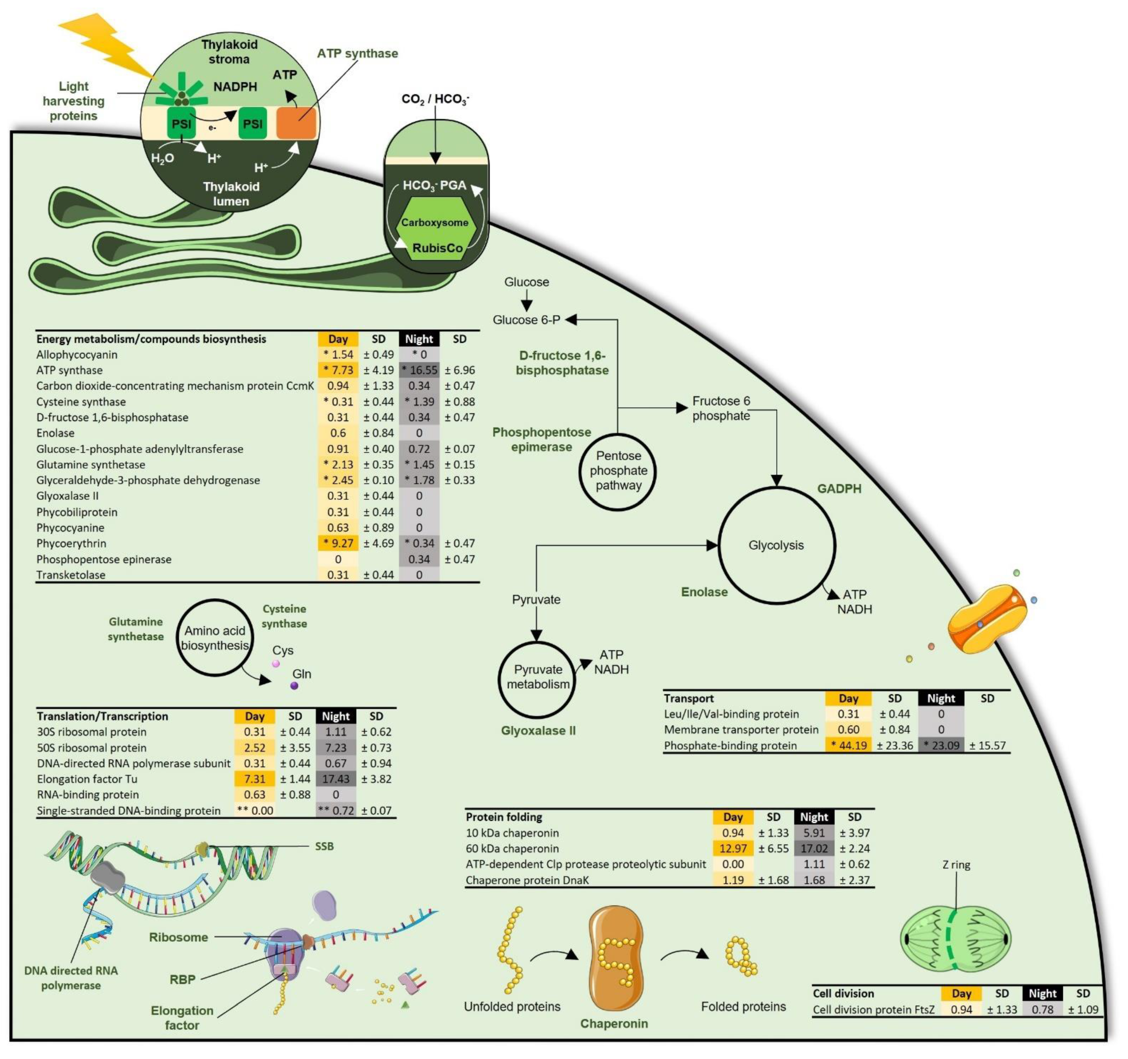 Microorganisms 09 02621 g002