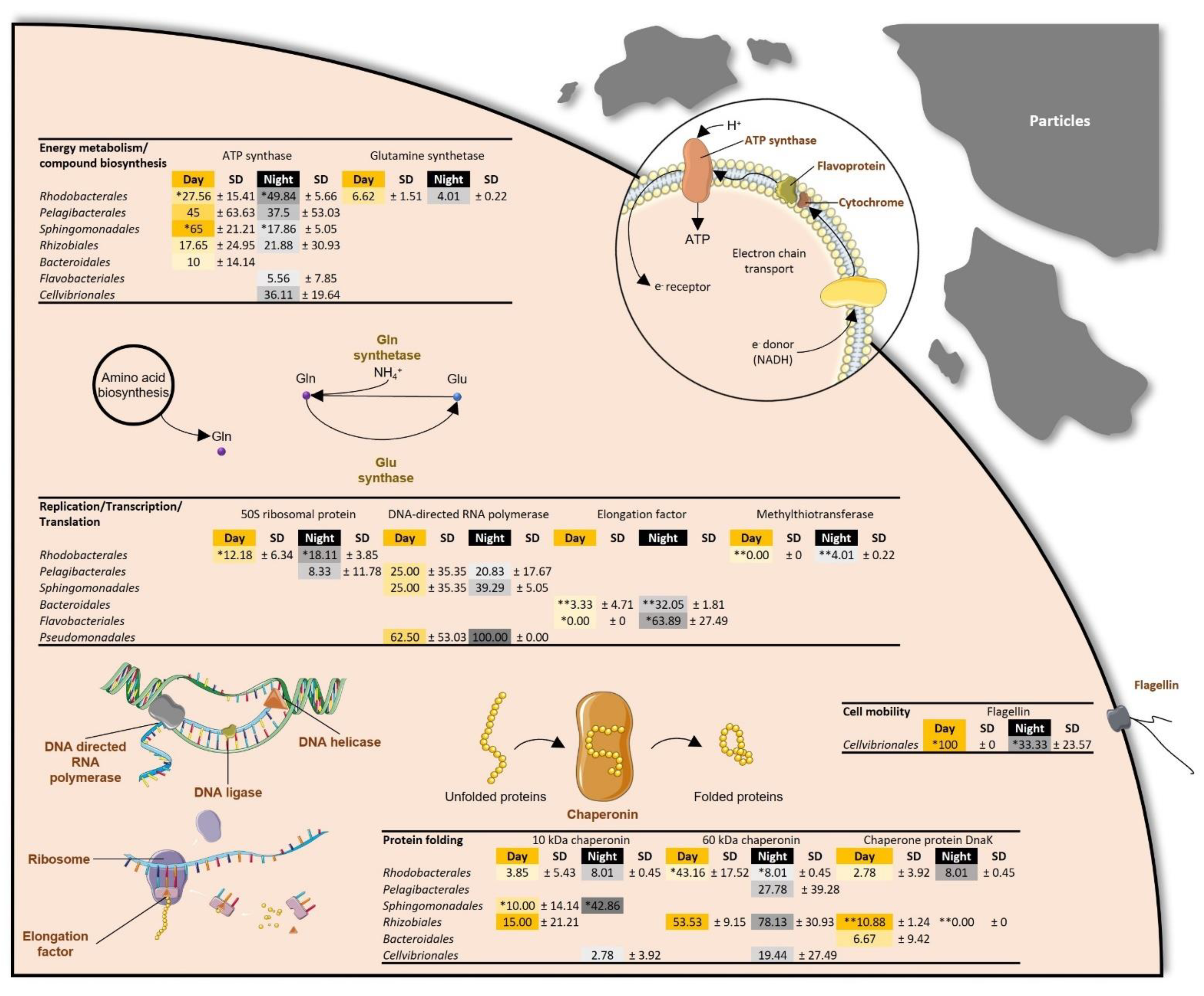 Microorganisms 09 02621 g003