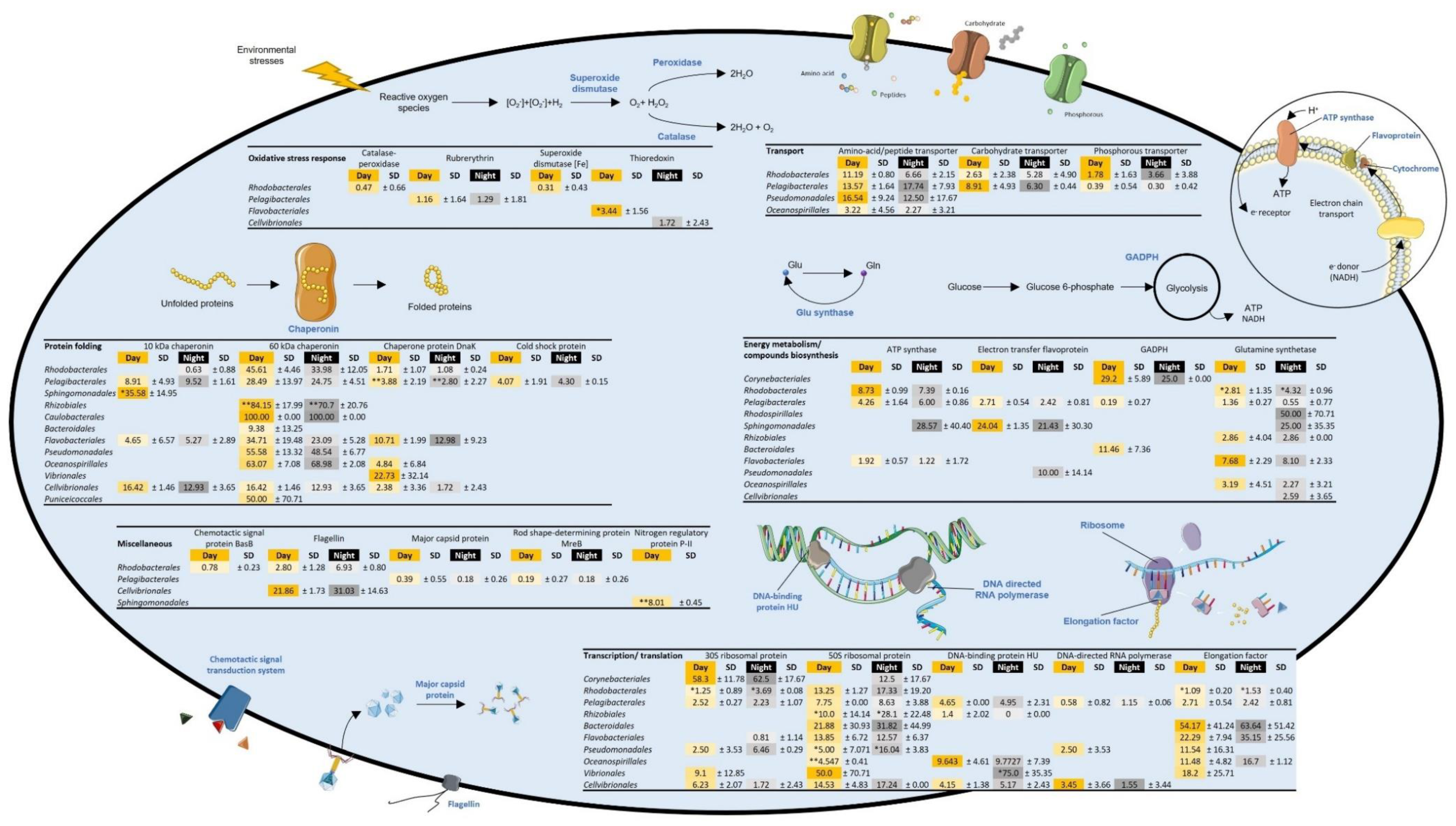 Microorganisms 09 02621 g004