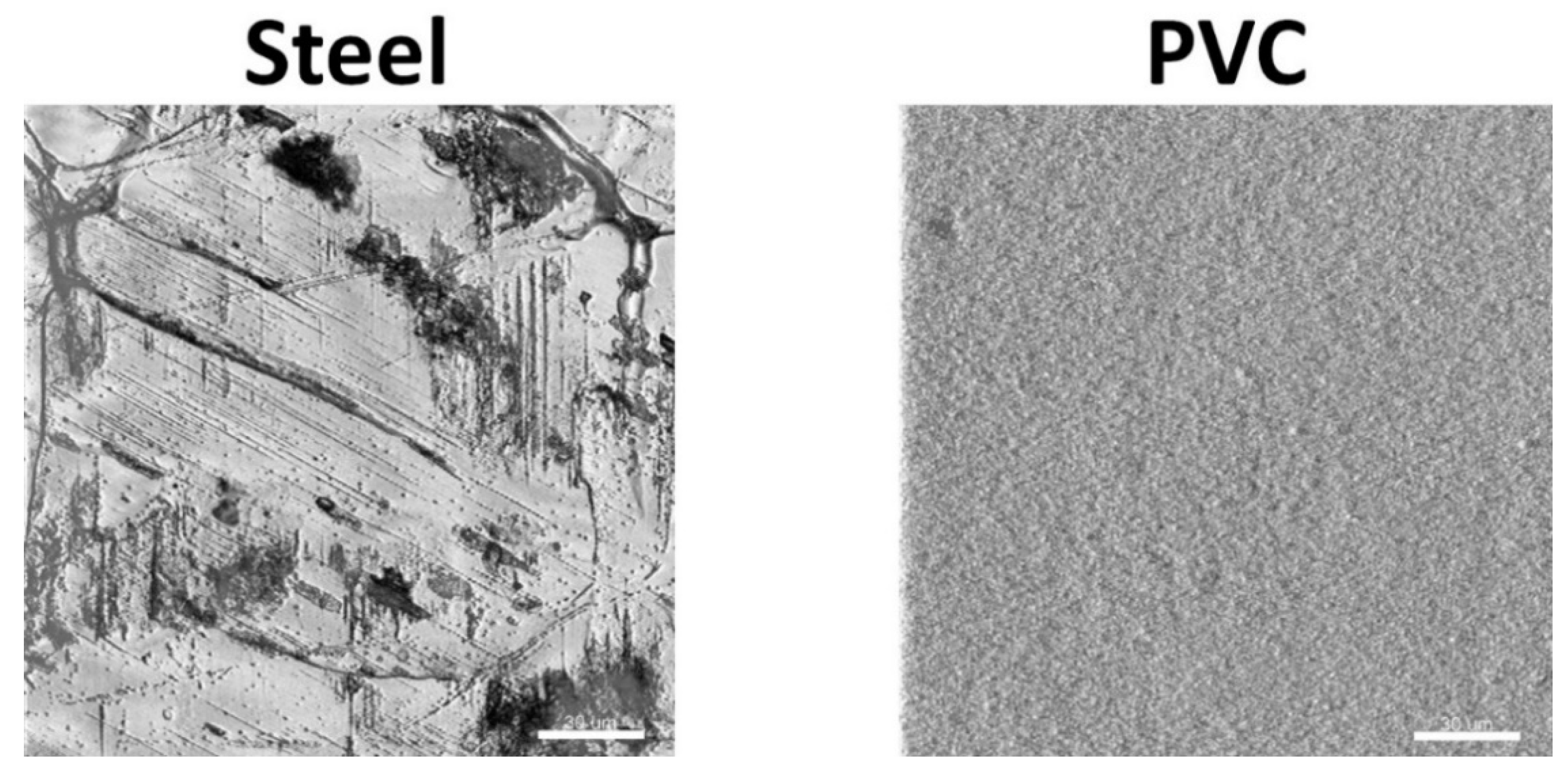 Microorganisms 10 00002 g002