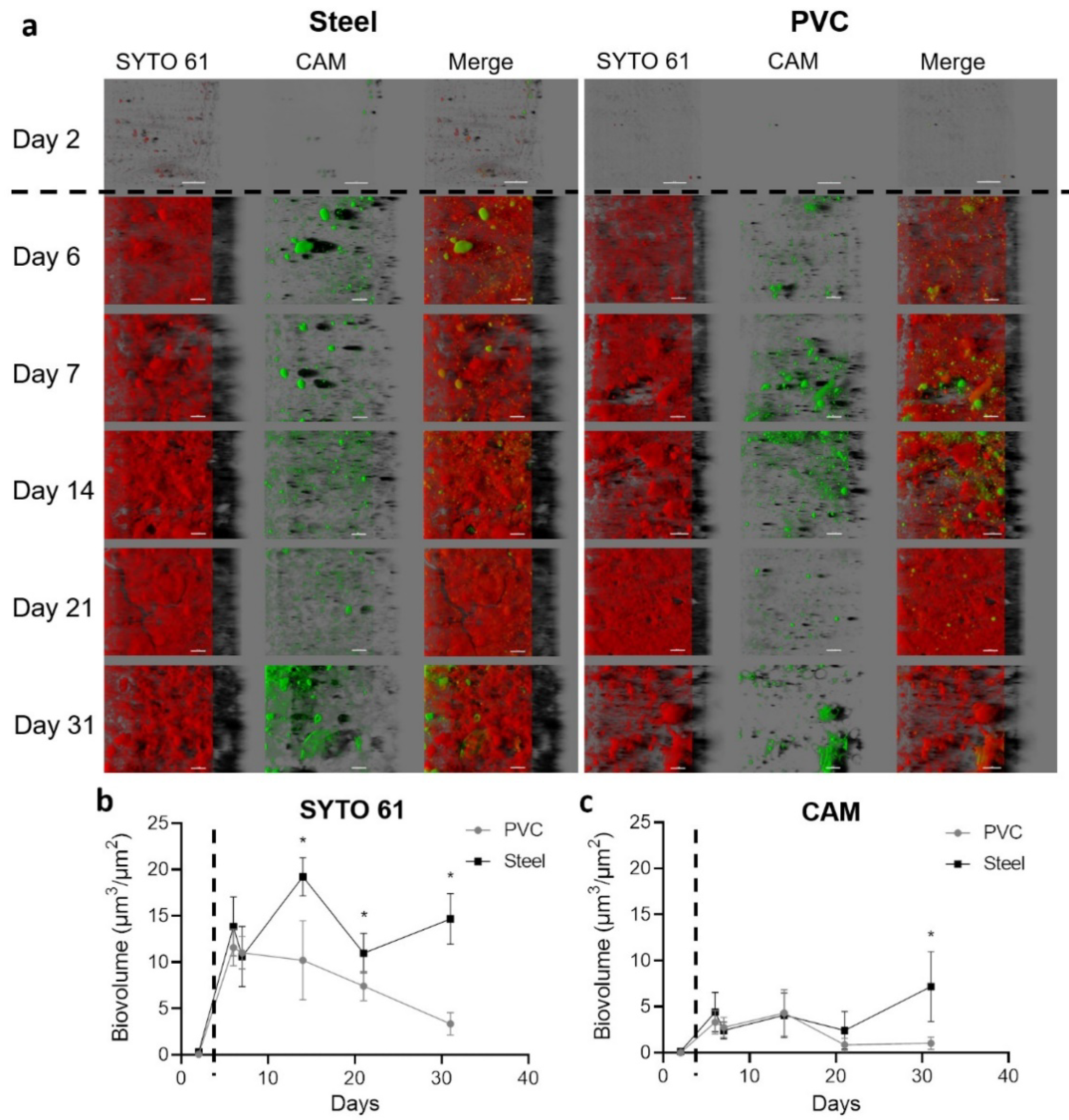 Microorganisms 10 00002 g003