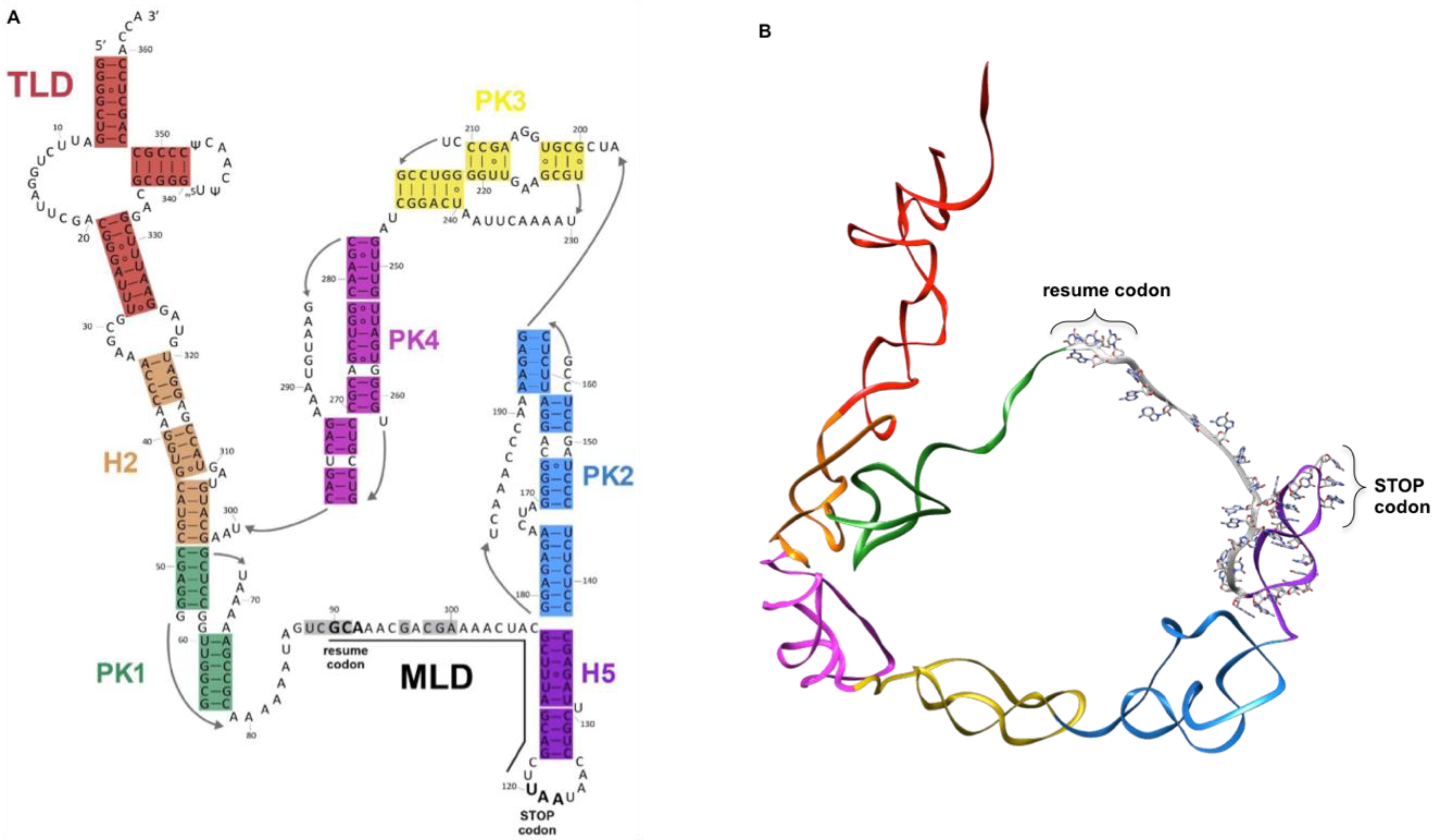 Microorganisms 10 00003 g001