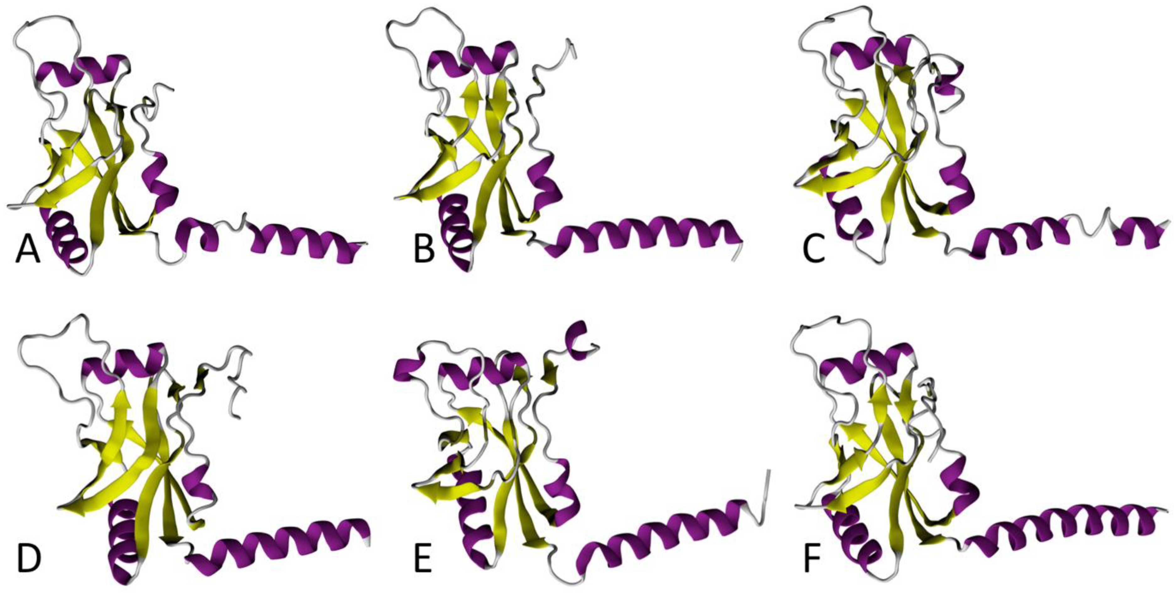Microorganisms 10 00003 g002