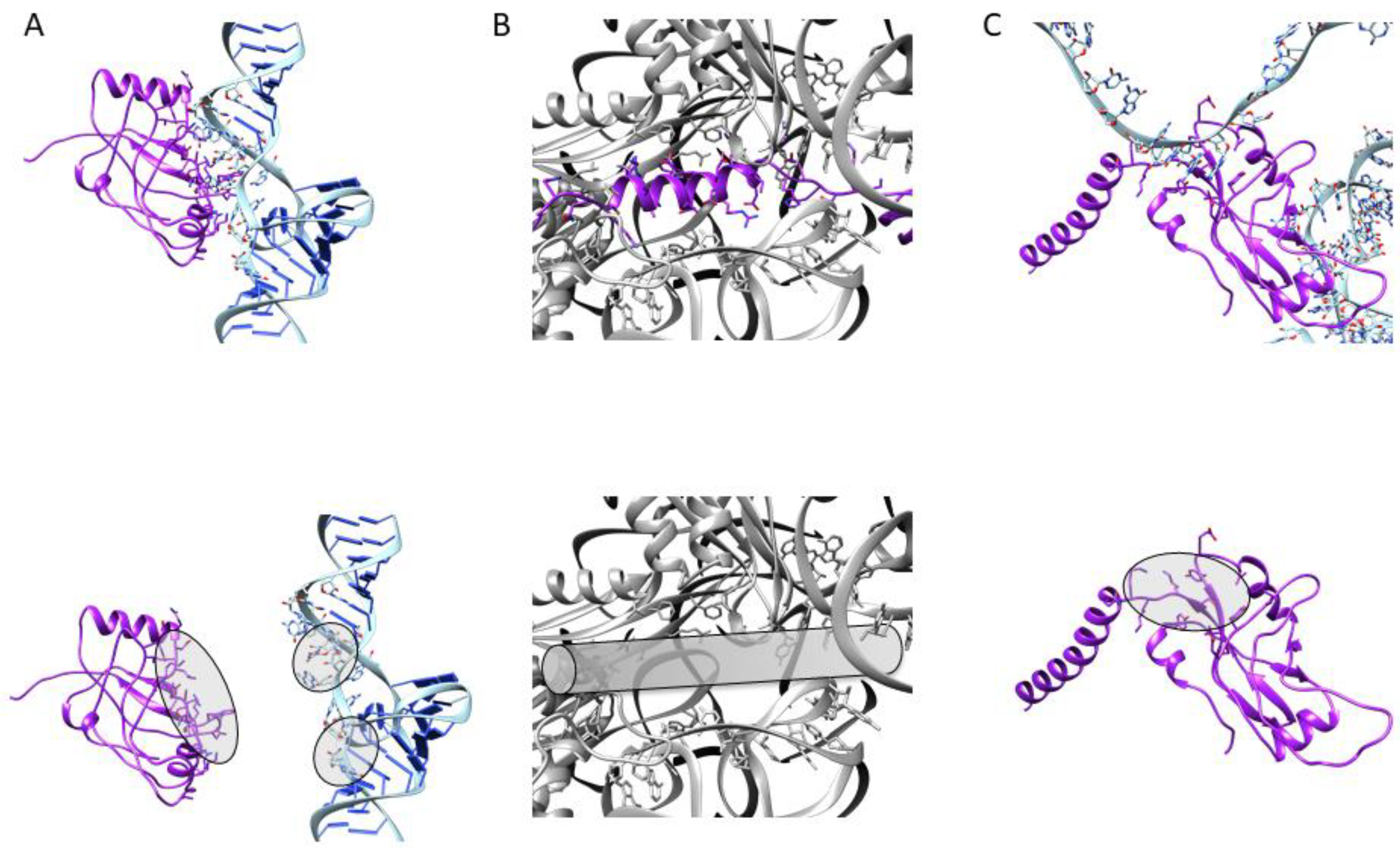 Microorganisms 10 00003 g005
