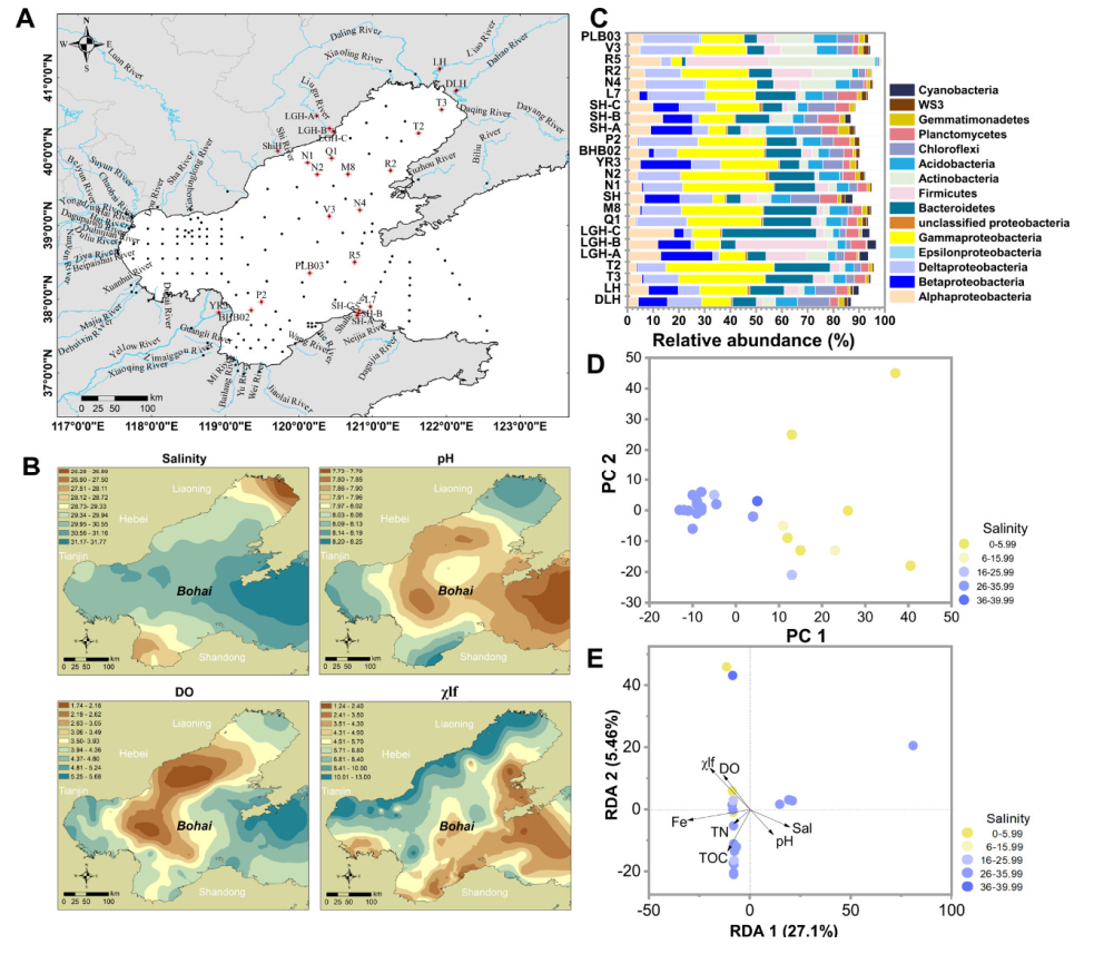 Microorganisms 10 00006 g001