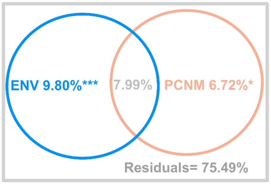 Microorganisms 10 00006 g004