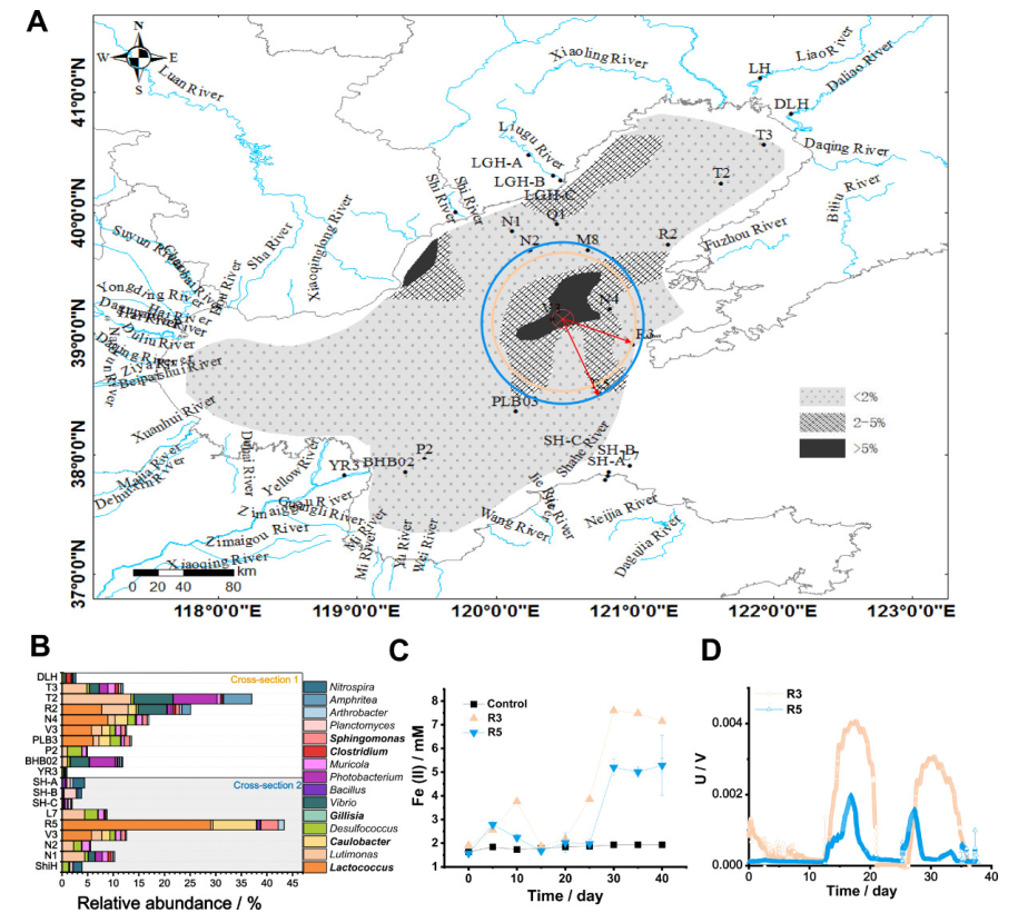 Microorganisms 10 00006 g005