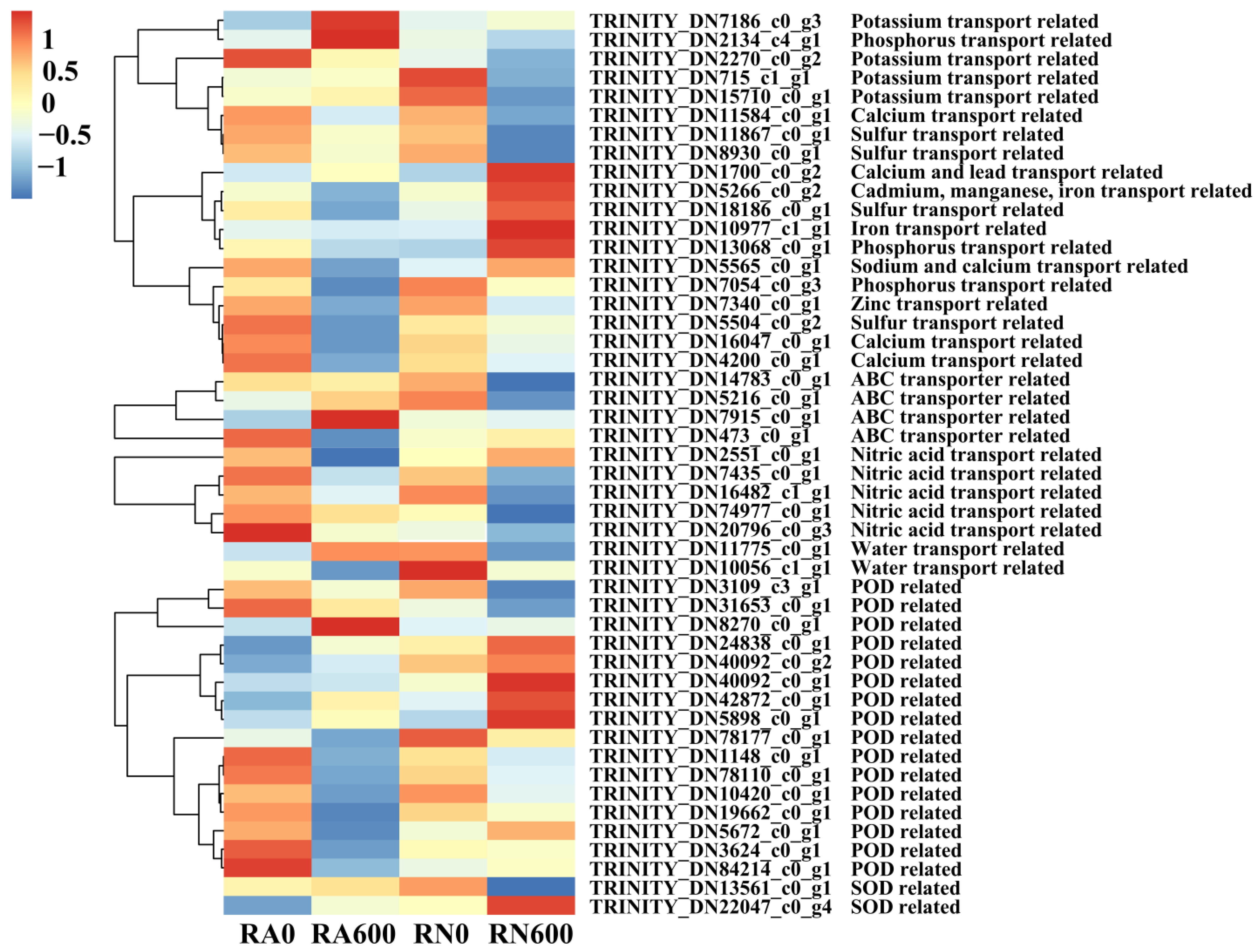 Microorganisms 10 00015 g004