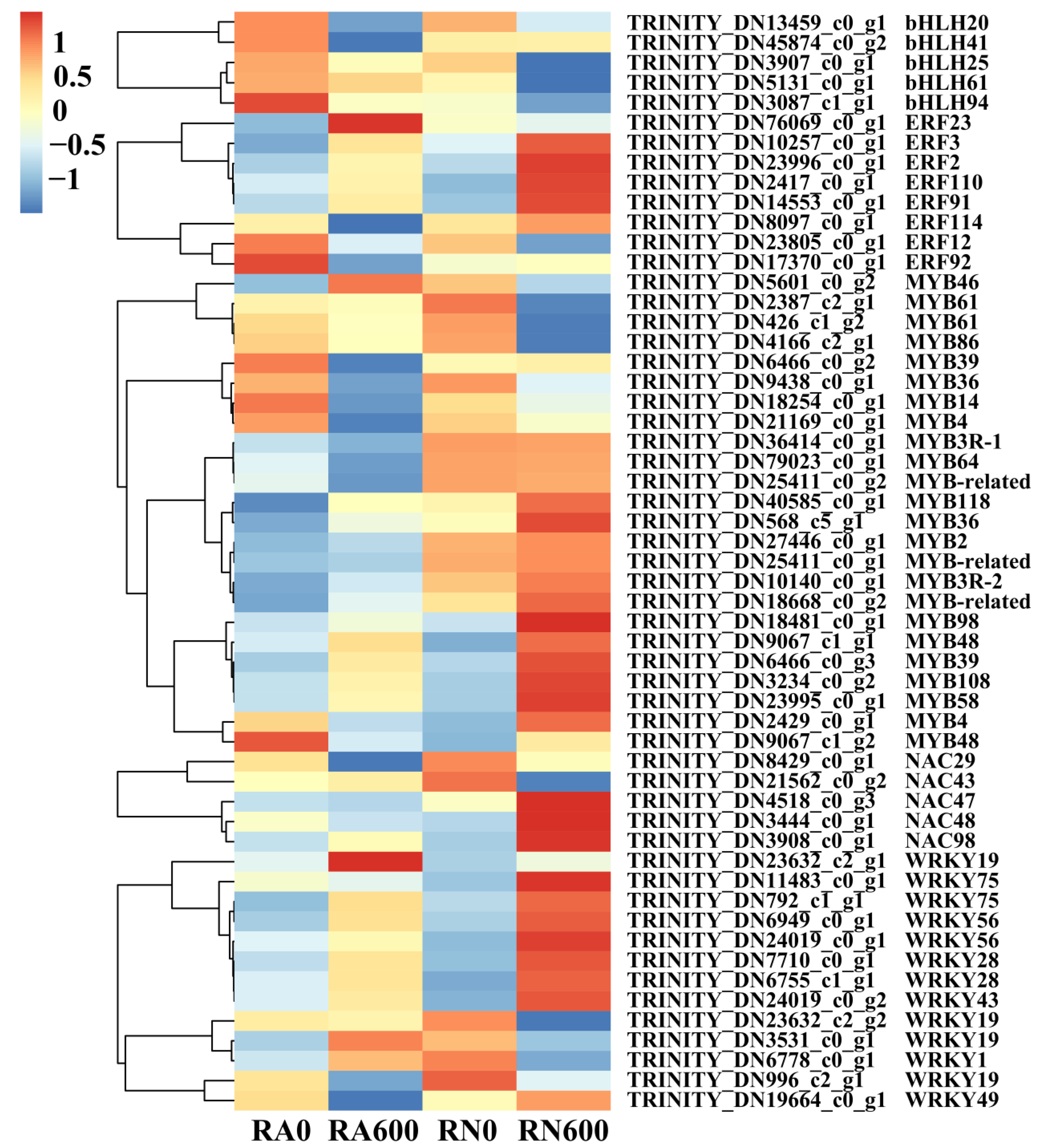 Microorganisms 10 00015 g005