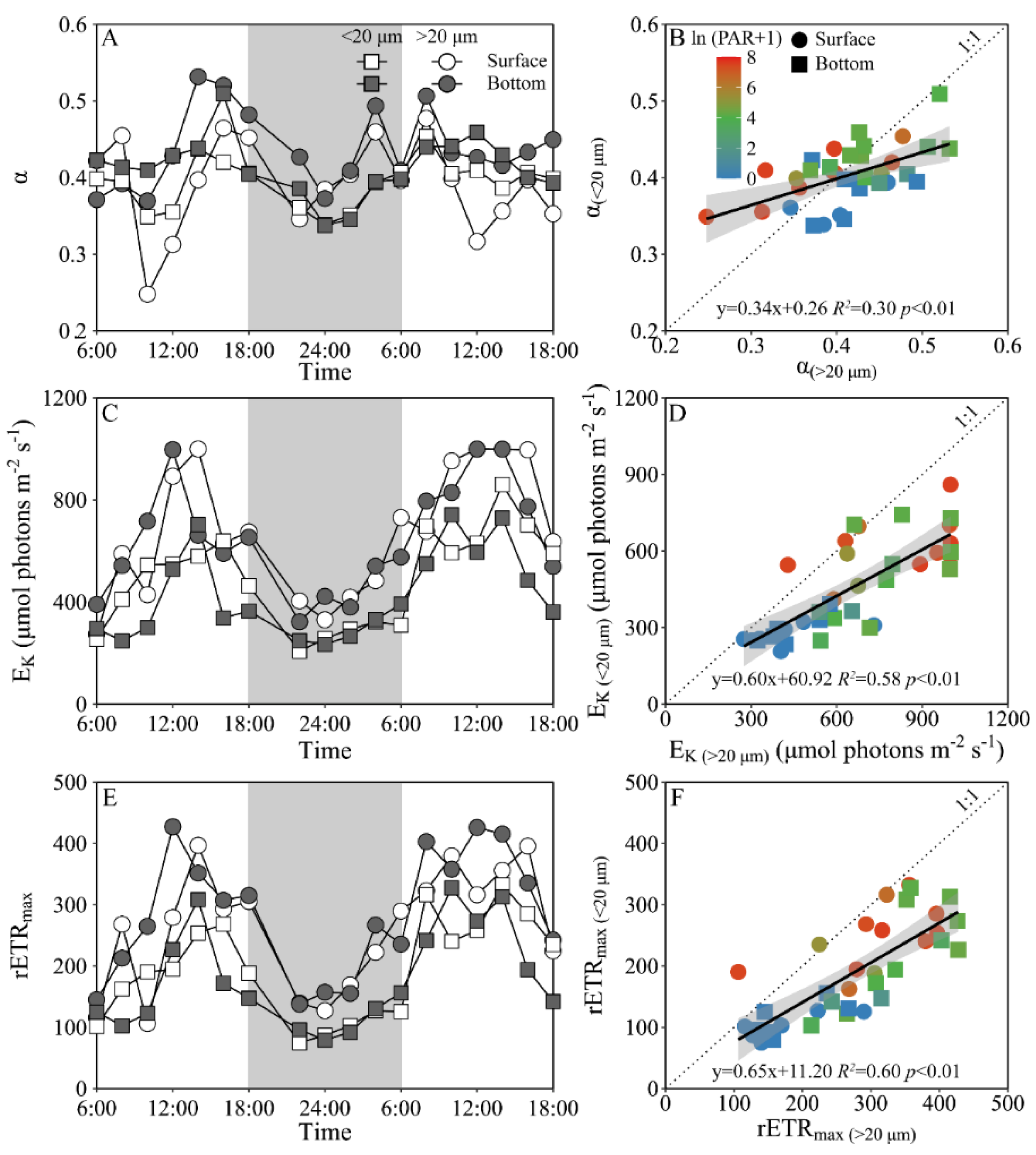 Microorganisms 10 00016 g005