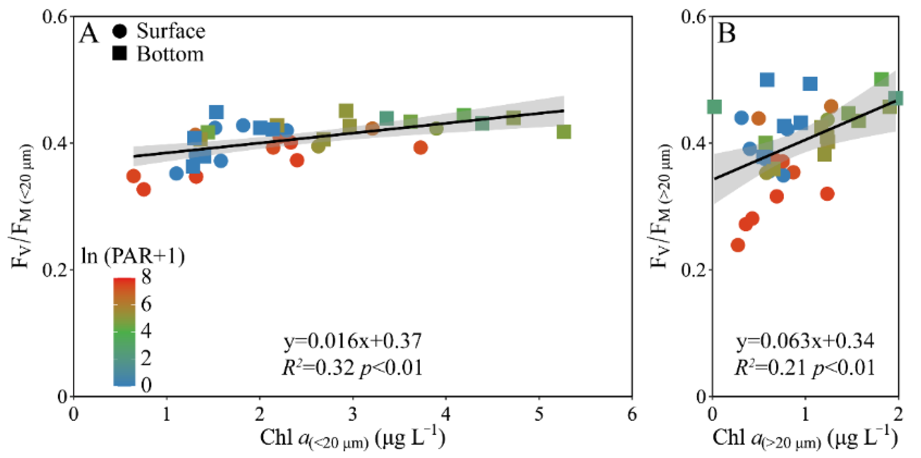 Microorganisms 10 00016 g006