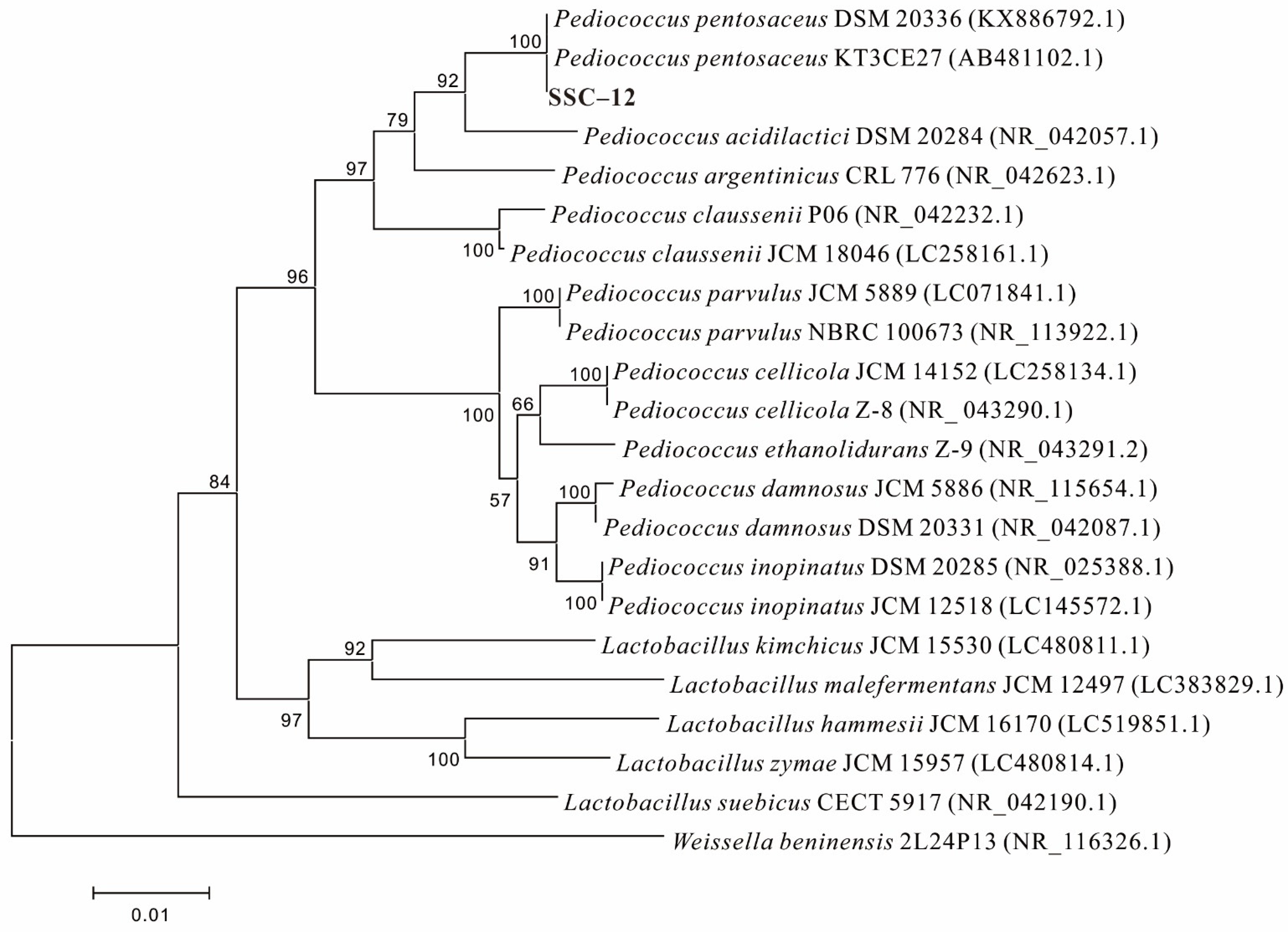 Microorganisms 10 00018 g001